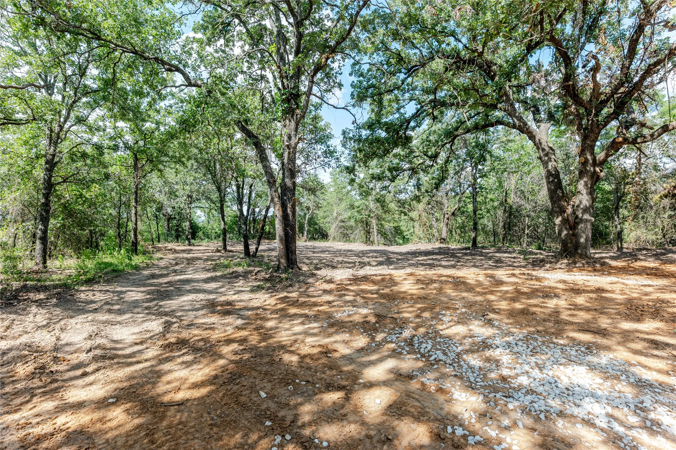 View of woods