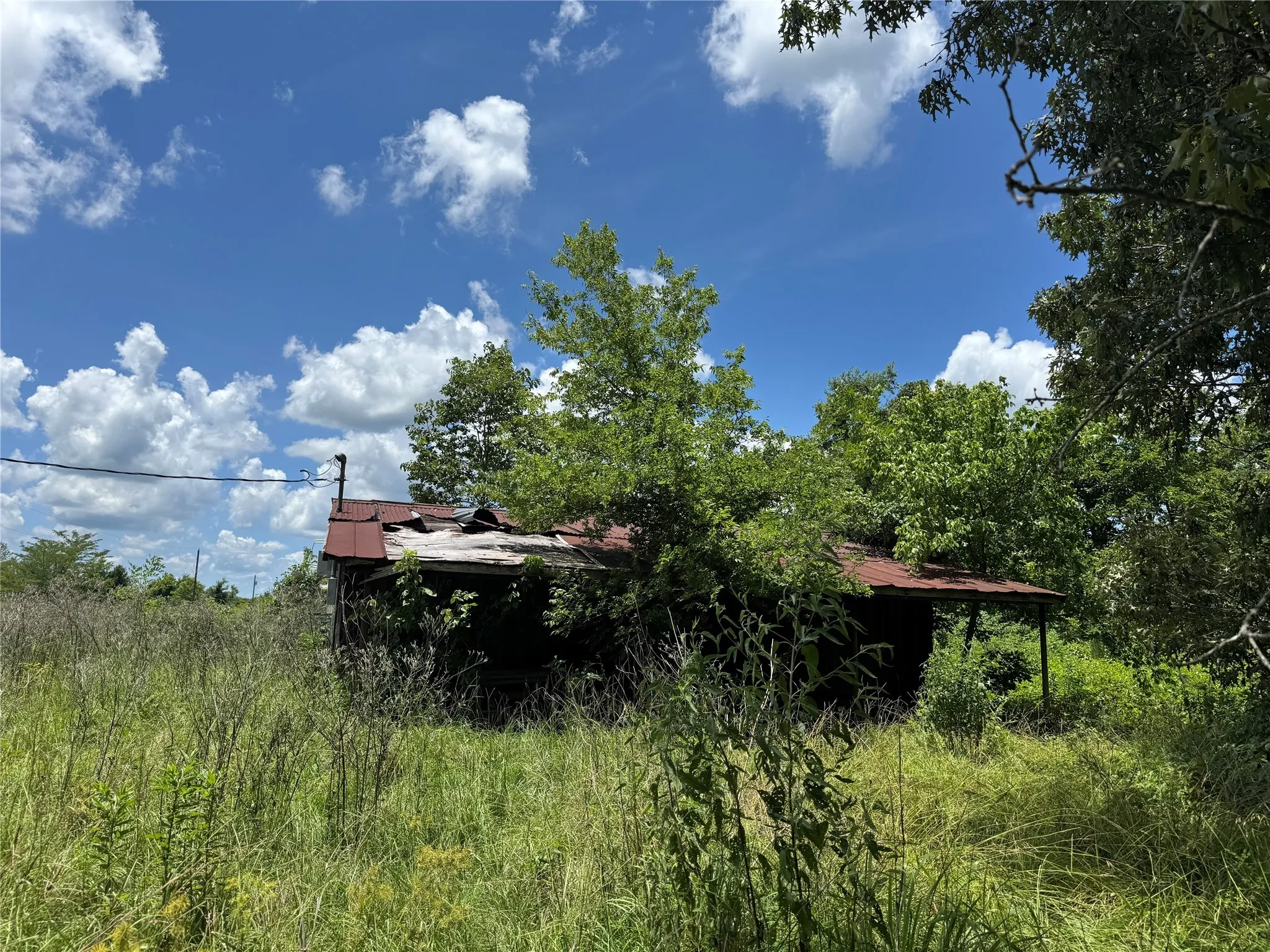 View of local wilderness