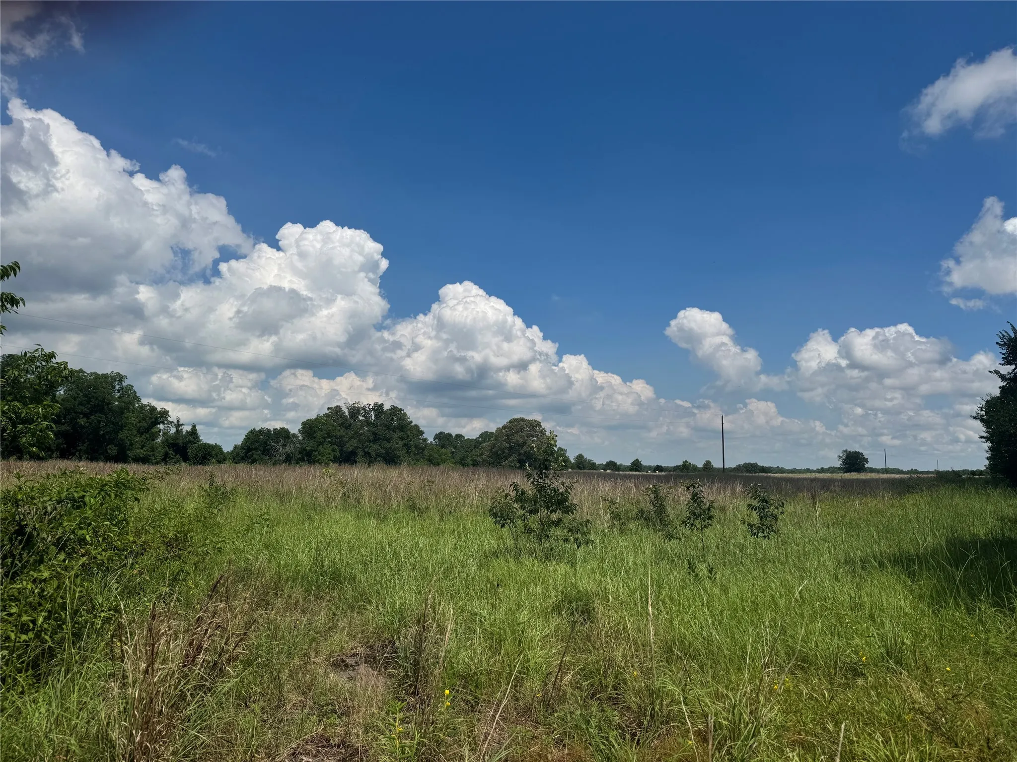 View of local wilderness featuring rural landscape