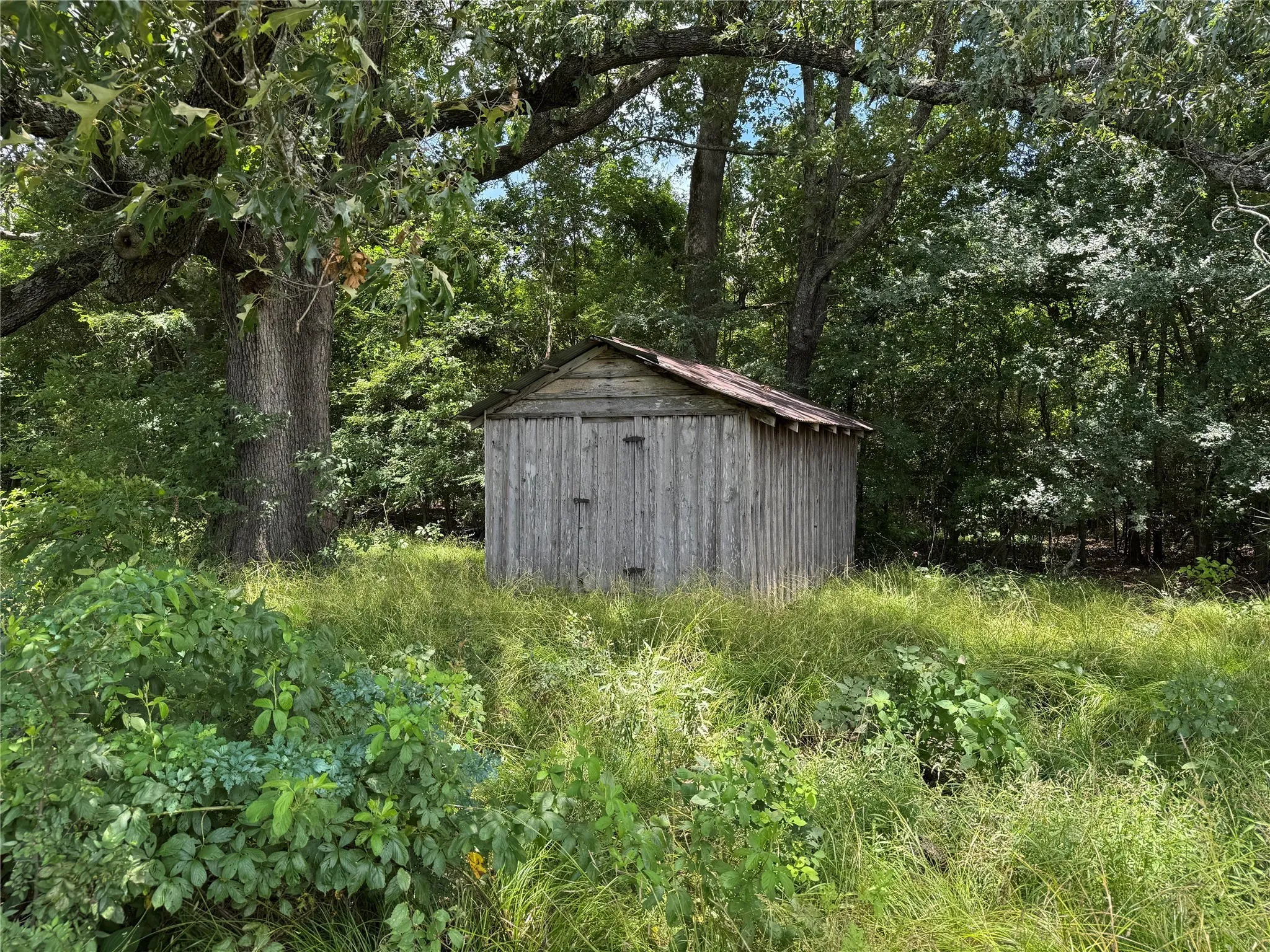 View of shed