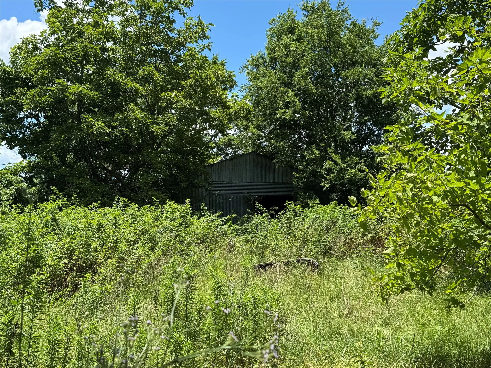 Unimproved Land For Sale in Titus County , TBD County Road 3925, Mt Pleasant, Texas 75455, 0, 0, Garage spaces, 0 Sqft, built in 0, Price $350,000, mls#20982339, Real Estate Agent in Mt Pleasant, Homes For Sale in Titus county, Homes For Sale in Mt Pleasant, Realtor in Mt Pleasant Texas, Real Estate Brokerage Independent Realty Texas, Luminita Cordes Realtor