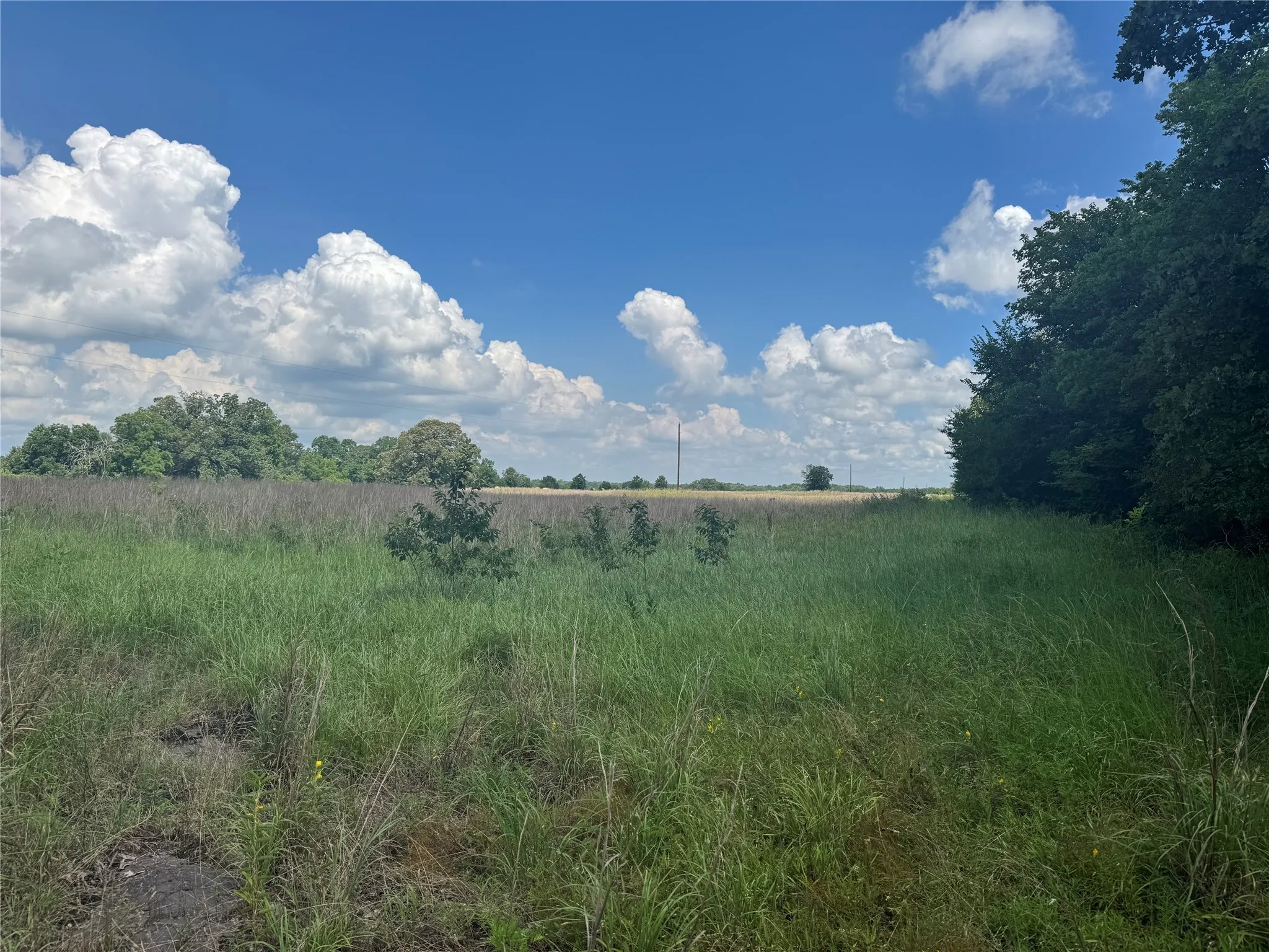 View of local wilderness with rural landscape