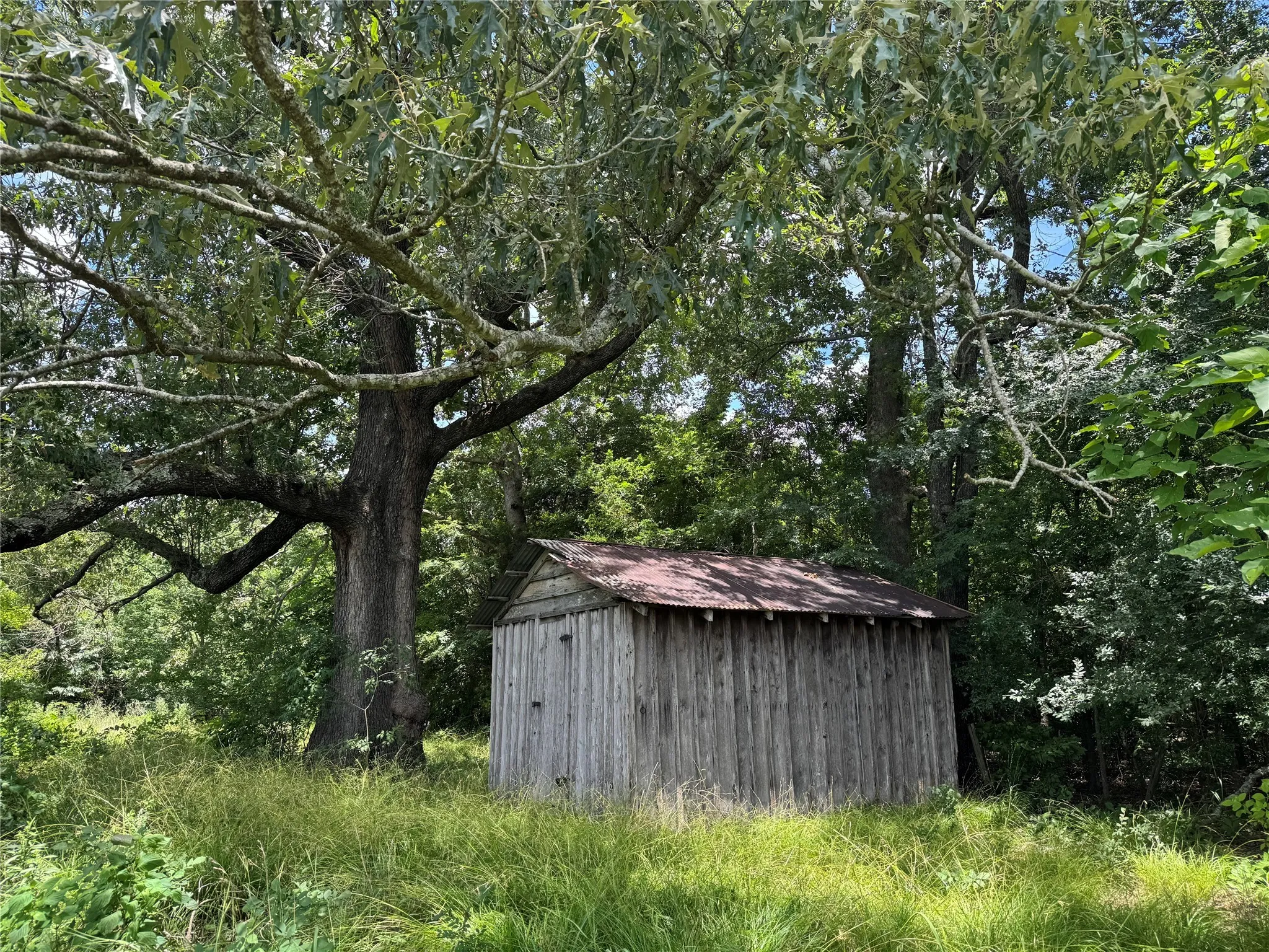 Unimproved Land For Sale in Titus County , TBD County Road 3925, Mt Pleasant, Texas 75455, 0, 0, Garage spaces, 0 Sqft, built in 0, Price $350,000, mls#20982339, Real Estate Agent in Mt Pleasant, Homes For Sale in Titus county, Homes For Sale in Mt Pleasant, Realtor in Mt Pleasant Texas, Real Estate Brokerage Independent Realty Texas, Luminita Cordes Realtor