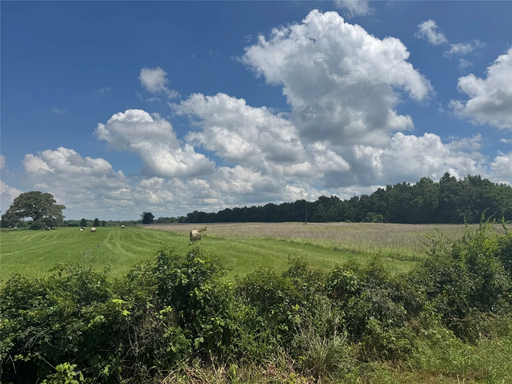 View of nature featuring rural landscape