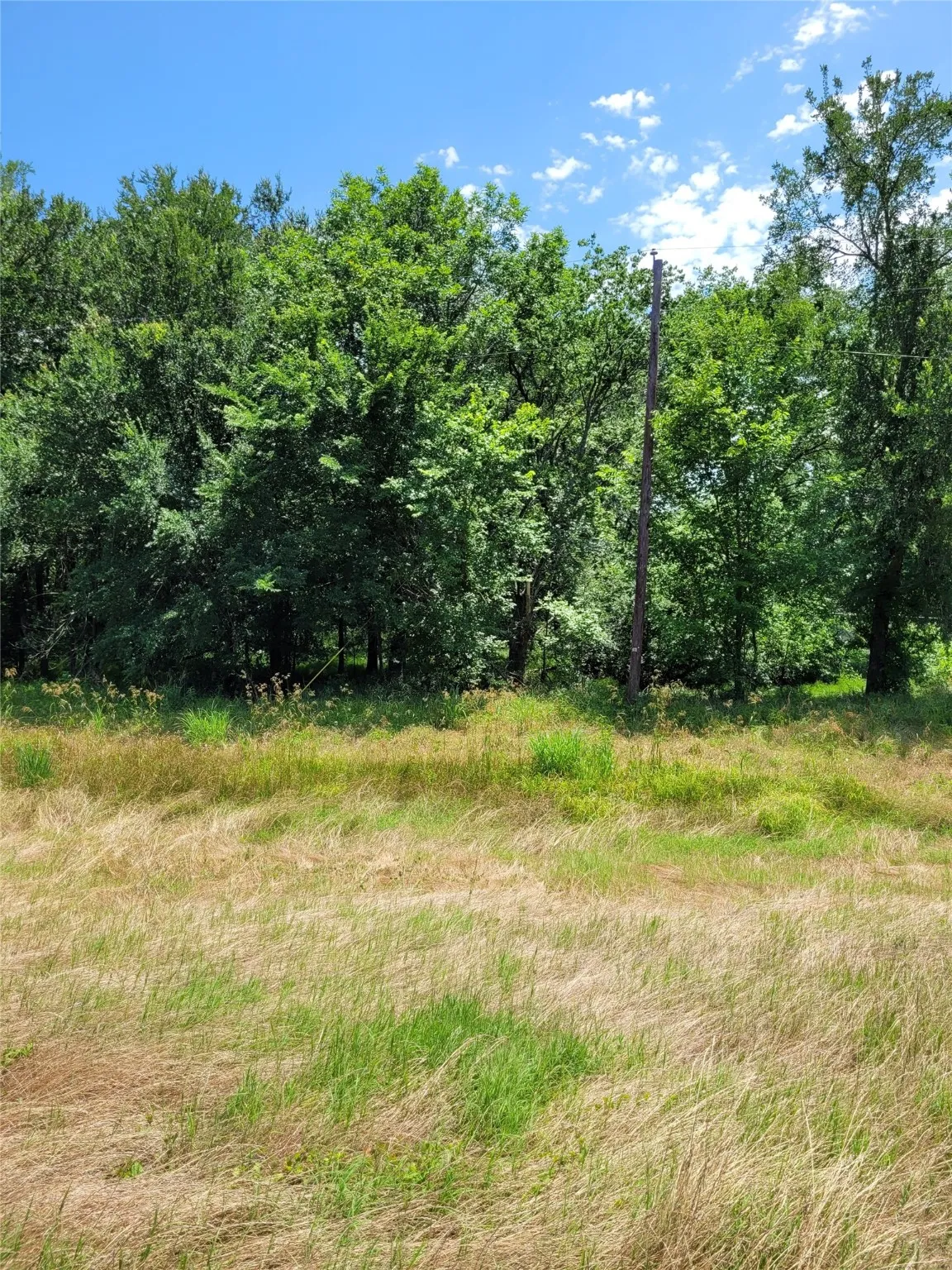 Unimproved Land For Sale in Lamar County , 1175 SW LOOP 286, Paris, Texas 75460, 0, 0, Garage spaces, 0 Sqft, built in 0, Price $159,000, mls#20986442, Real Estate Agent in Paris, Homes For Sale in Lamar county, Homes For Sale in Paris, Realtor in Paris Texas, Real Estate Brokerage Independent Realty Texas, Luminita Cordes Realtor