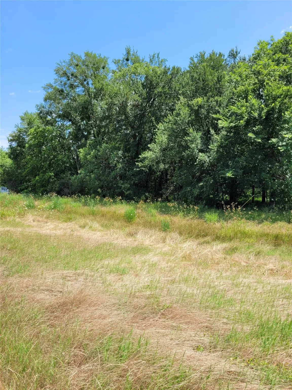 Unimproved Land For Sale in Lamar County , 1175 SW LOOP 286, Paris, Texas 75460, 0, 0, Garage spaces, 0 Sqft, built in 0, Price $159,000, mls#20986442, Real Estate Agent in Paris, Homes For Sale in Lamar county, Homes For Sale in Paris, Realtor in Paris Texas, Real Estate Brokerage Independent Realty Texas, Luminita Cordes Realtor