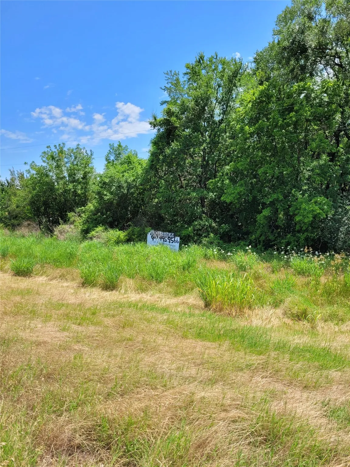 Unimproved Land For Sale in Lamar County , 1175 SW LOOP 286, Paris, Texas 75460, 0, 0, Garage spaces, 0 Sqft, built in 0, Price $159,000, mls#20986442, Real Estate Agent in Paris, Homes For Sale in Lamar county, Homes For Sale in Paris, Realtor in Paris Texas, Real Estate Brokerage Independent Realty Texas, Luminita Cordes Realtor