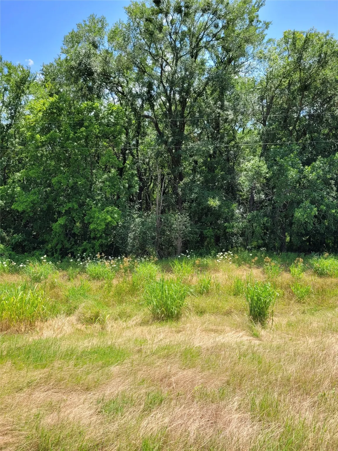 Unimproved Land For Sale in Lamar County , 1175 SW LOOP 286, Paris, Texas 75460, 0, 0, Garage spaces, 0 Sqft, built in 0, Price $159,000, mls#20986442, Real Estate Agent in Paris, Homes For Sale in Lamar county, Homes For Sale in Paris, Realtor in Paris Texas, Real Estate Brokerage Independent Realty Texas, Luminita Cordes Realtor