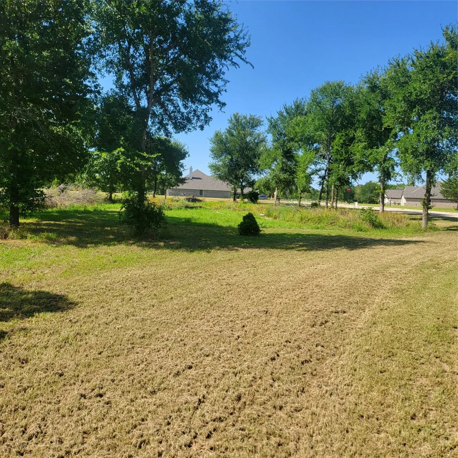 View of grassy yard