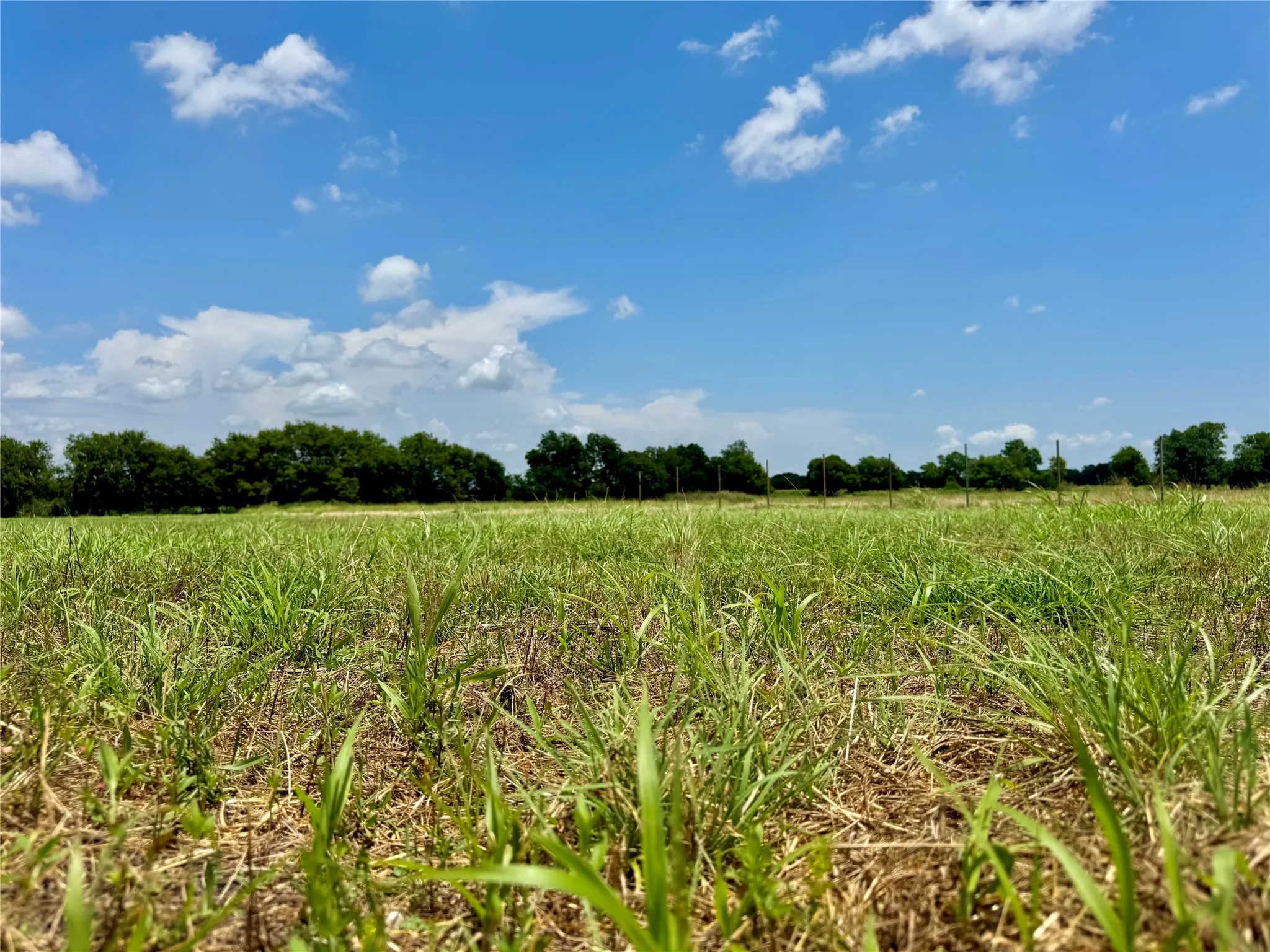 Unimproved Land For Sale in Collin County , Lot 10 CR-590, Nevada, Texas 75173, 0, 0, Garage spaces, 0 Sqft, built in 0, Price $190,000, mls#20986714, Real Estate Agent in Nevada, Homes For Sale in Collin county, Homes For Sale in Nevada, Realtor in Nevada Texas, Real Estate Brokerage Independent Realty Texas, Luminita Cordes Realtor