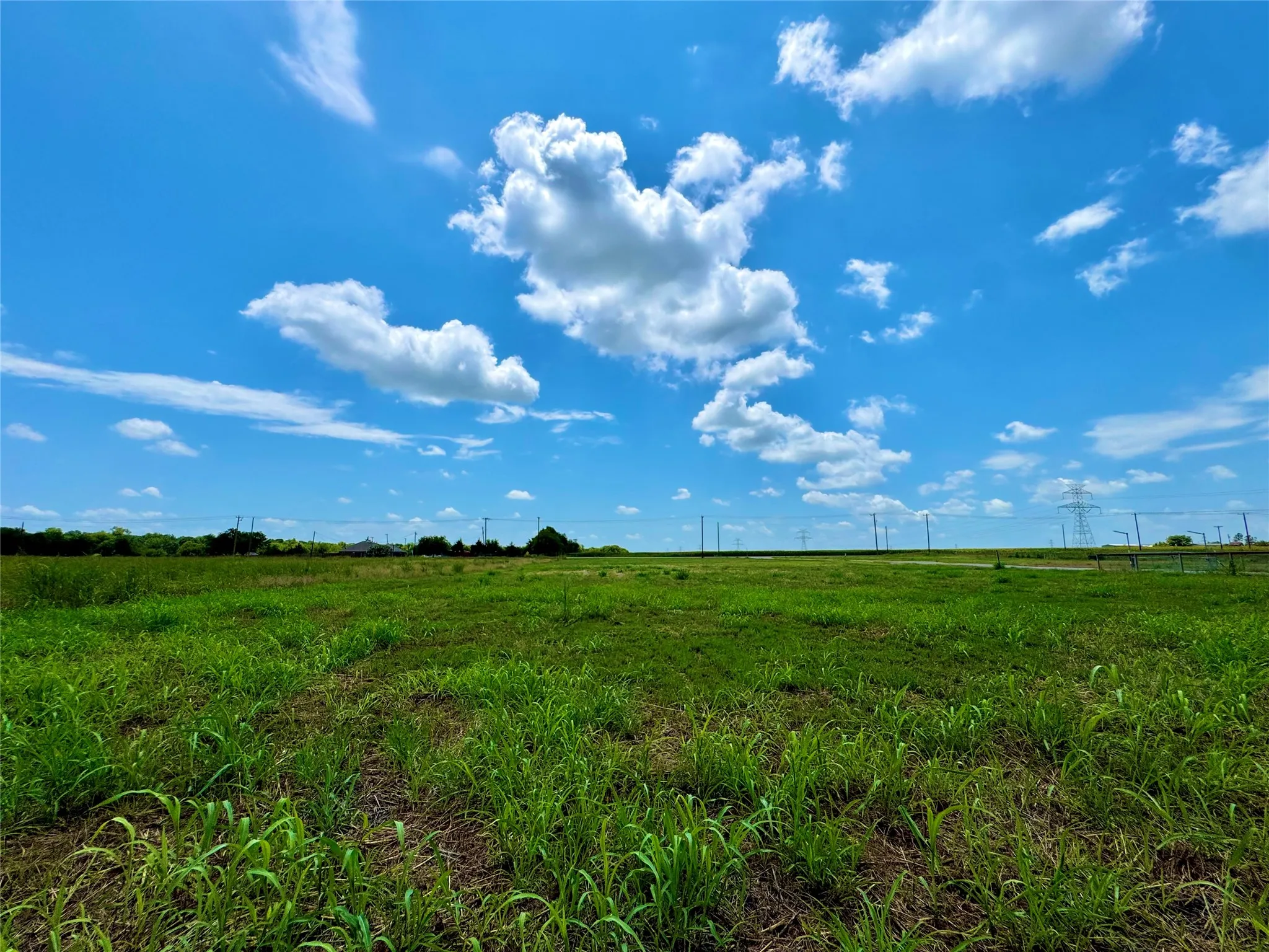 Unimproved Land For Sale in Collin County , Lot 10 CR-590, Nevada, Texas 75173, 0, 0, Garage spaces, 0 Sqft, built in 0, Price $190,000, mls#20986714, Real Estate Agent in Nevada, Homes For Sale in Collin county, Homes For Sale in Nevada, Realtor in Nevada Texas, Real Estate Brokerage Independent Realty Texas, Luminita Cordes Realtor