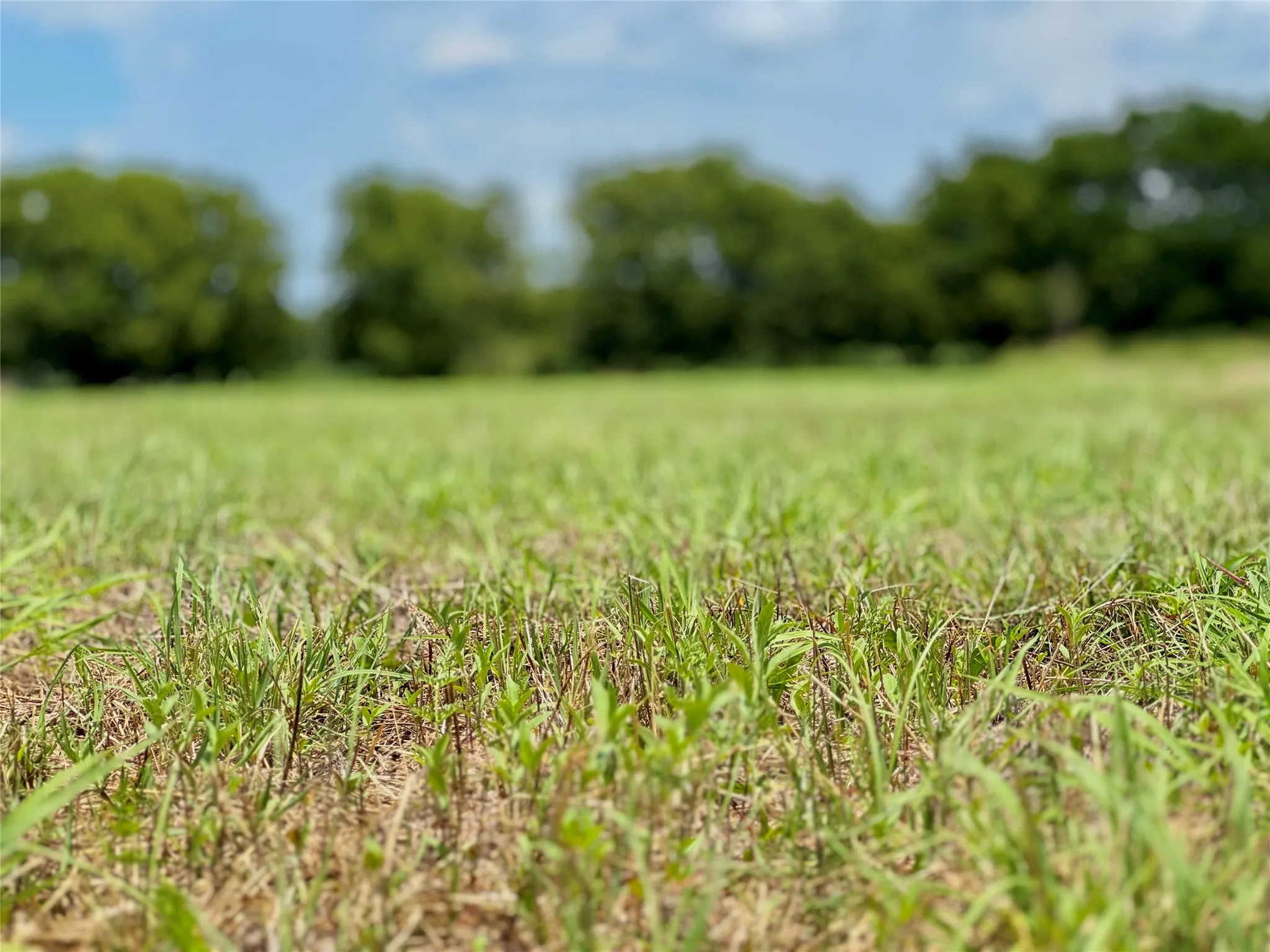 Unimproved Land For Sale in Collin County , Lot 10 CR-590, Nevada, Texas 75173, 0, 0, Garage spaces, 0 Sqft, built in 0, Price $190,000, mls#20986714, Real Estate Agent in Nevada, Homes For Sale in Collin county, Homes For Sale in Nevada, Realtor in Nevada Texas, Real Estate Brokerage Independent Realty Texas, Luminita Cordes Realtor