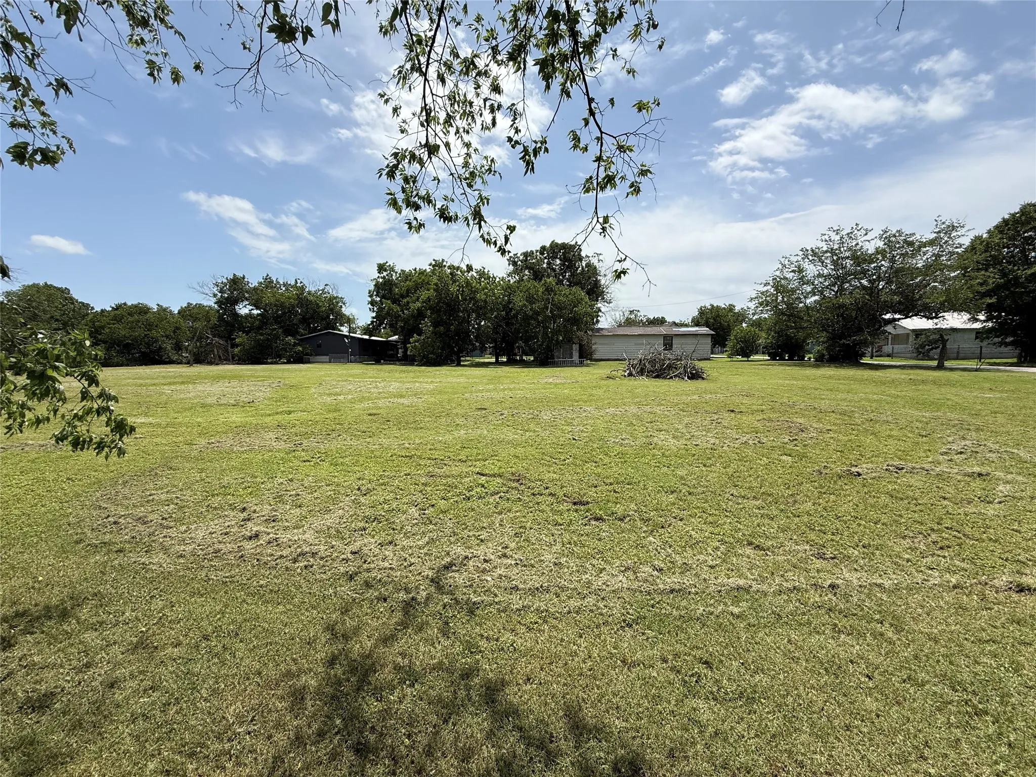 View of green lawn