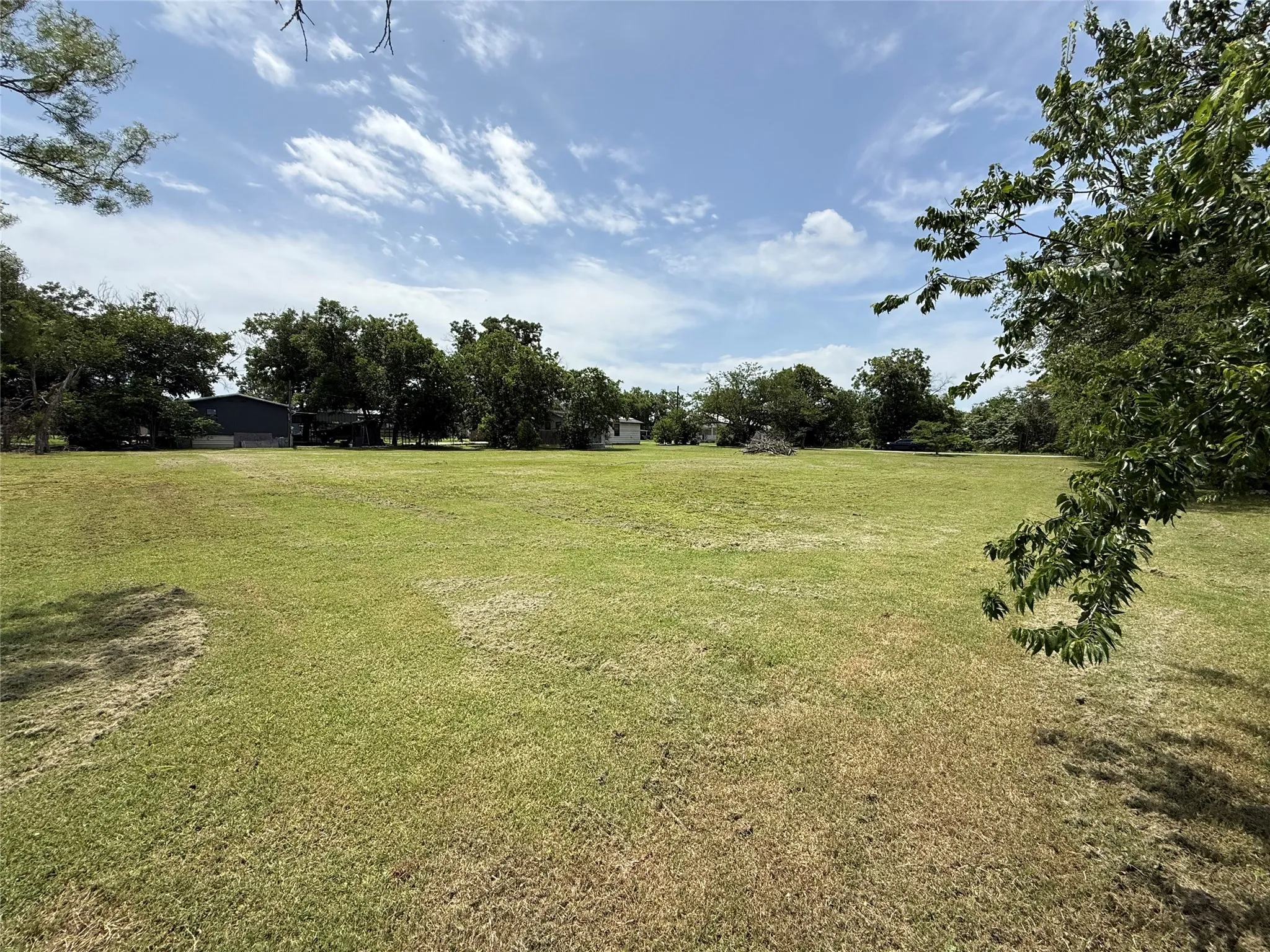 View of green lawn