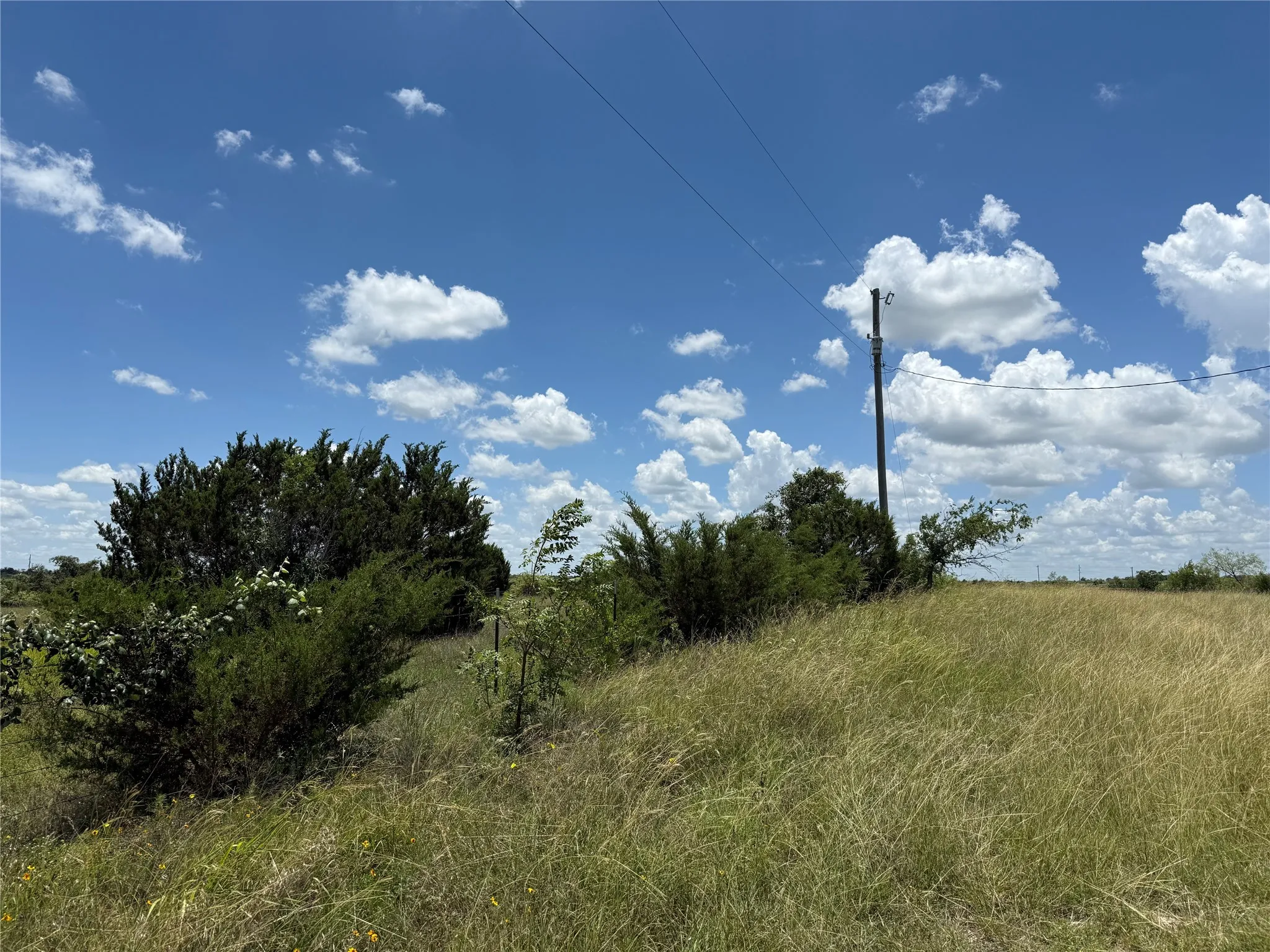 Unimproved Land For Sale in Bosque County , TBD Private Road 1743B, Clifton, Texas 76634, 0, 0, Garage spaces, 0 Sqft, built in 0, Price $280,000, mls#20987177, Real Estate Agent in Clifton, Homes For Sale in Bosque county, Homes For Sale in Clifton, Realtor in Clifton Texas, Real Estate Brokerage Independent Realty Texas, Luminita Cordes Realtor