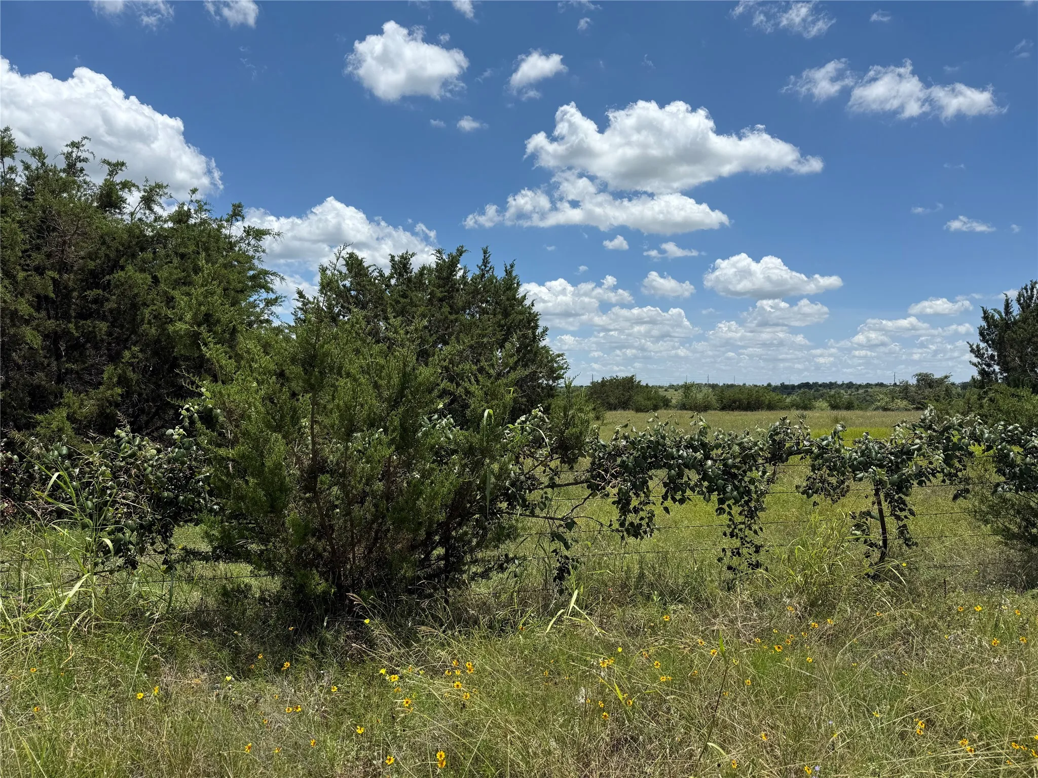 Unimproved Land For Sale in Bosque County , TBD Private Road 1743B, Clifton, Texas 76634, 0, 0, Garage spaces, 0 Sqft, built in 0, Price $280,000, mls#20987177, Real Estate Agent in Clifton, Homes For Sale in Bosque county, Homes For Sale in Clifton, Realtor in Clifton Texas, Real Estate Brokerage Independent Realty Texas, Luminita Cordes Realtor