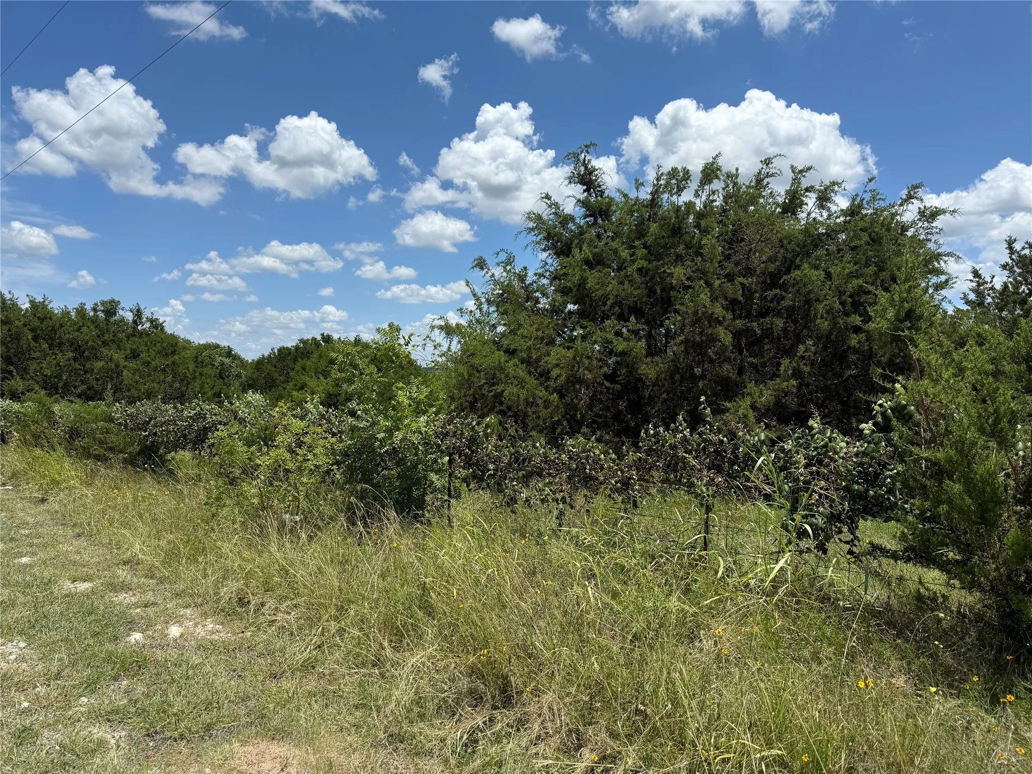 Unimproved Land For Sale in Bosque County , TBD Private Road 1743B, Clifton, Texas 76634, 0, 0, Garage spaces, 0 Sqft, built in 0, Price $280,000, mls#20987177, Real Estate Agent in Clifton, Homes For Sale in Bosque county, Homes For Sale in Clifton, Realtor in Clifton Texas, Real Estate Brokerage Independent Realty Texas, Luminita Cordes Realtor