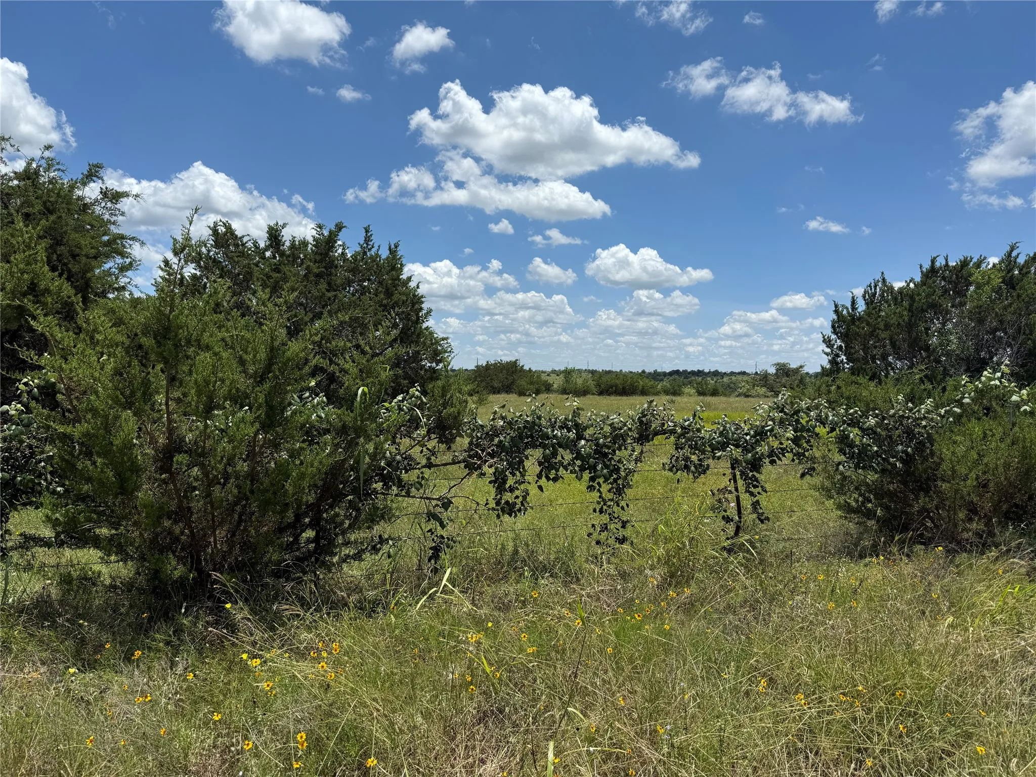 Unimproved Land For Sale in Bosque County , TBD Private Road 1743B, Clifton, Texas 76634, 0, 0, Garage spaces, 0 Sqft, built in 0, Price $280,000, mls#20987177, Real Estate Agent in Clifton, Homes For Sale in Bosque county, Homes For Sale in Clifton, Realtor in Clifton Texas, Real Estate Brokerage Independent Realty Texas, Luminita Cordes Realtor