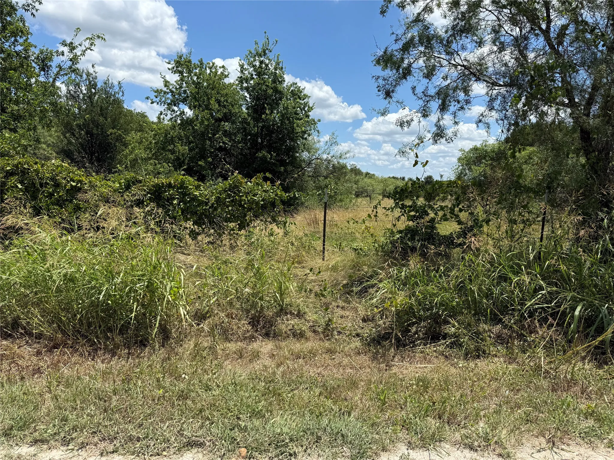 Unimproved Land For Sale in Bosque County , TBD Private Road 1743B, Clifton, Texas 76634, 0, 0, Garage spaces, 0 Sqft, built in 0, Price $280,000, mls#20987177, Real Estate Agent in Clifton, Homes For Sale in Bosque county, Homes For Sale in Clifton, Realtor in Clifton Texas, Real Estate Brokerage Independent Realty Texas, Luminita Cordes Realtor