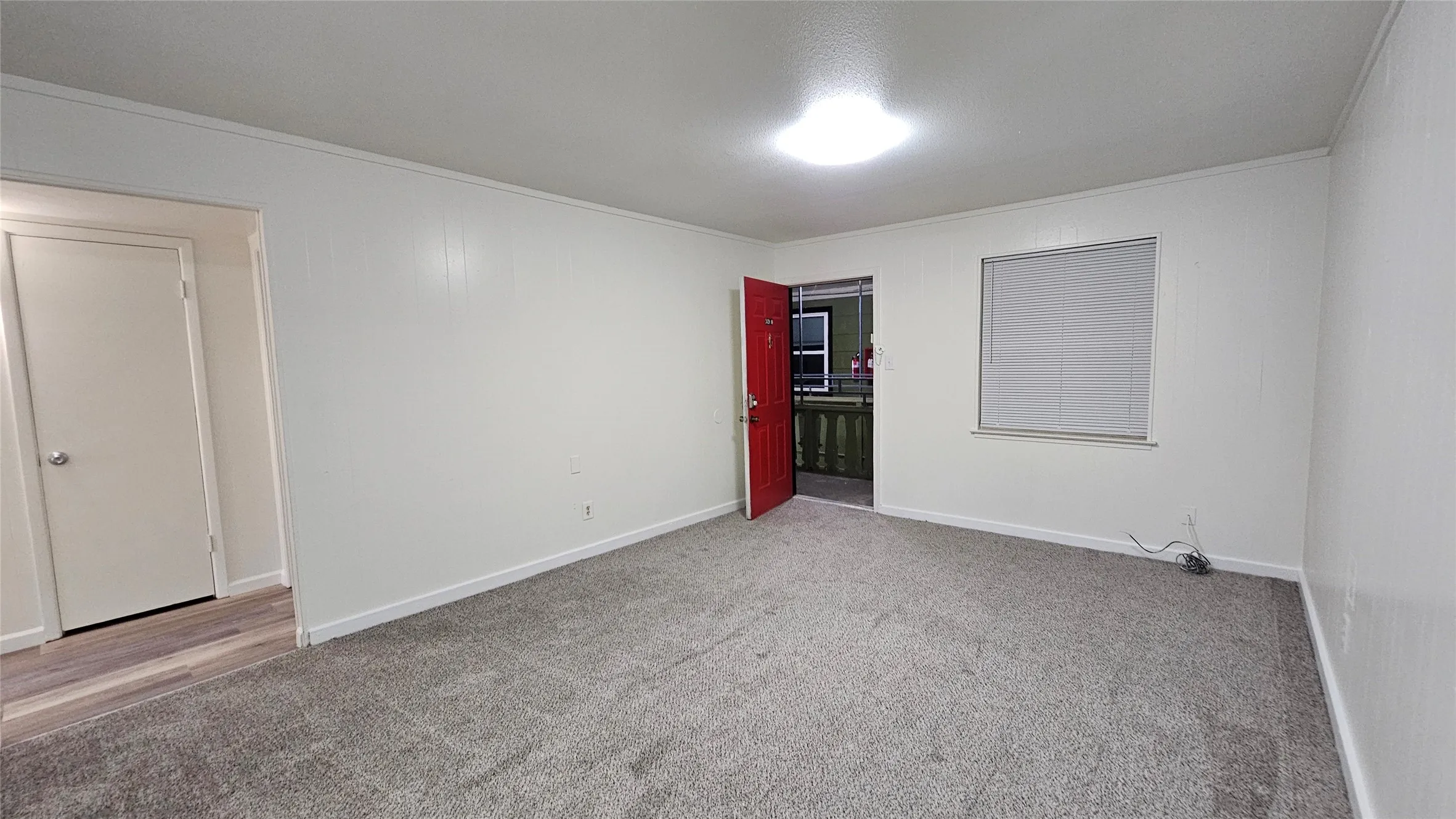 Spare room featuring carpet flooring and ornamental molding