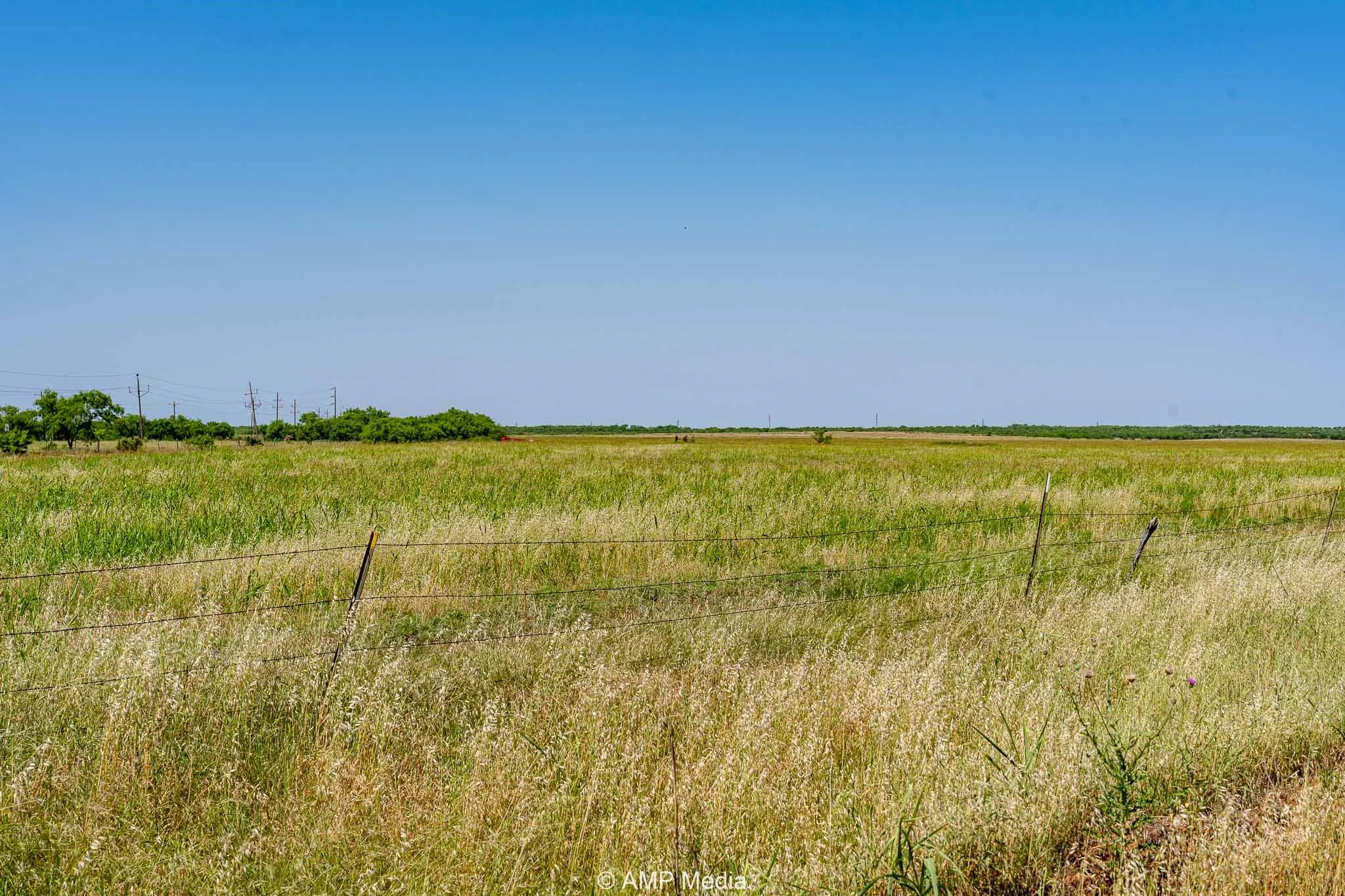 Unimproved Land For Sale in Fisher County , FM 2142 FM 2142, Rotan, Texas 79546, 0, 0, Garage spaces, 0 Sqft, built in 0, Price $126,157, mls#20956864, Real Estate Agent in Rotan, Homes For Sale in Fisher county, Homes For Sale in Rotan, Realtor in Rotan Texas, Real Estate Brokerage Independent Realty Texas, Luminita Cordes Realtor