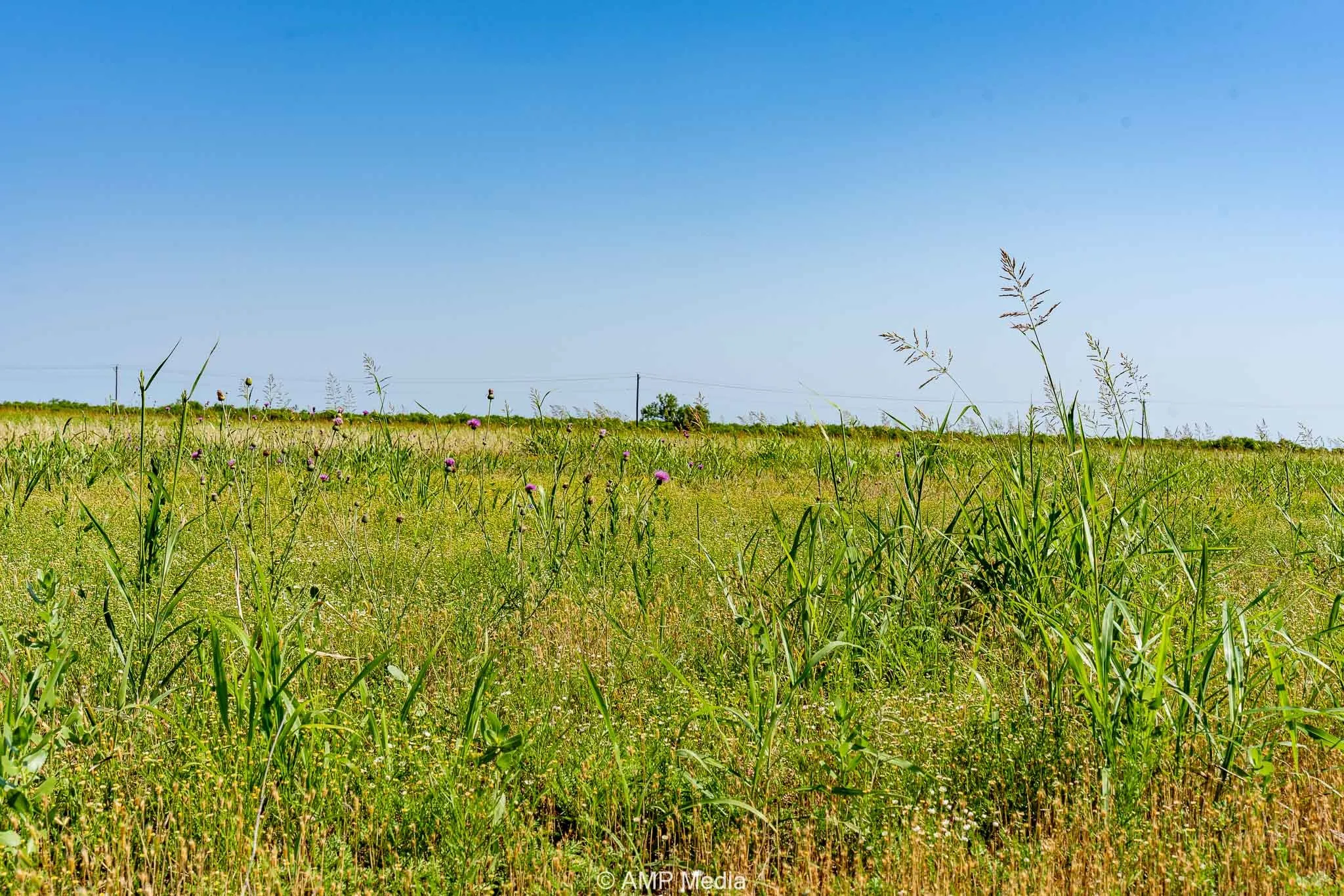 Unimproved Land For Sale in Fisher County , FM 2142 FM 2142, Rotan, Texas 79546, 0, 0, Garage spaces, 0 Sqft, built in 0, Price $126,157, mls#20956864, Real Estate Agent in Rotan, Homes For Sale in Fisher county, Homes For Sale in Rotan, Realtor in Rotan Texas, Real Estate Brokerage Independent Realty Texas, Luminita Cordes Realtor