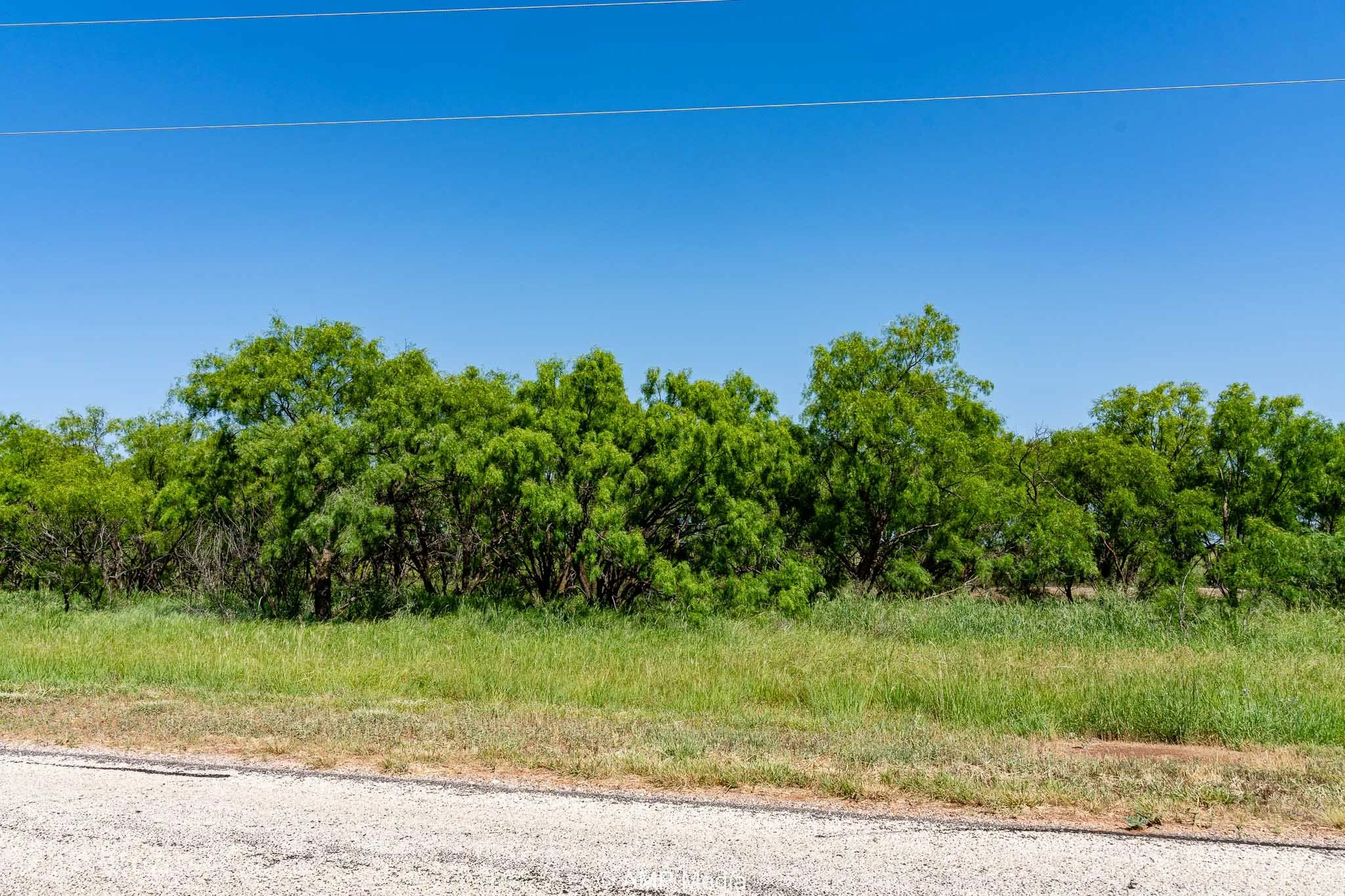 Unimproved Land For Sale in Fisher County , FM 2142 FM 2142, Rotan, Texas 79546, 0, 0, Garage spaces, 0 Sqft, built in 0, Price $126,157, mls#20956864, Real Estate Agent in Rotan, Homes For Sale in Fisher county, Homes For Sale in Rotan, Realtor in Rotan Texas, Real Estate Brokerage Independent Realty Texas, Luminita Cordes Realtor