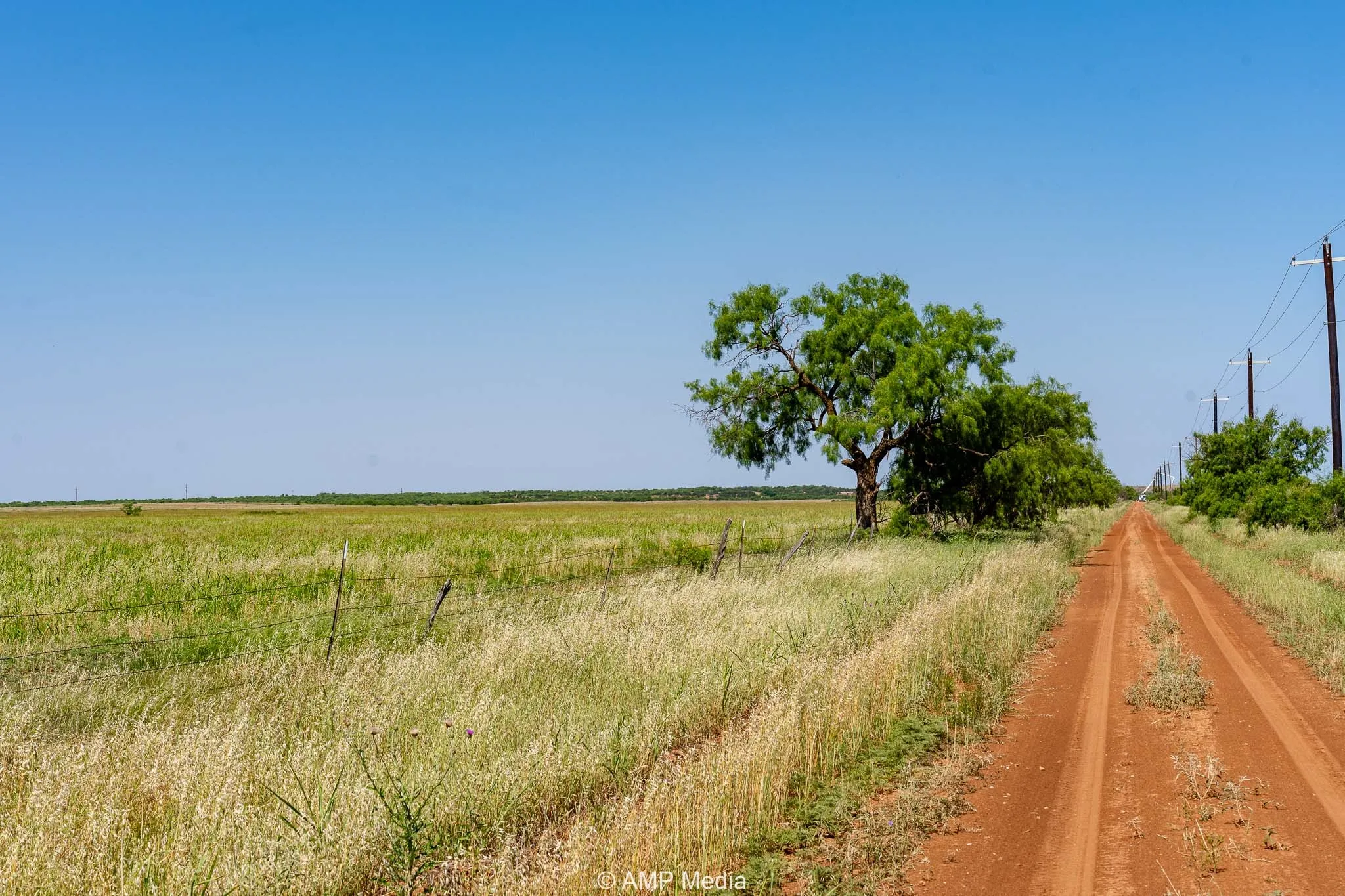 Unimproved Land For Sale in Fisher County , FM 2142 FM 2142, Rotan, Texas 79546, 0, 0, Garage spaces, 0 Sqft, built in 0, Price $126,157, mls#20956864, Real Estate Agent in Rotan, Homes For Sale in Fisher county, Homes For Sale in Rotan, Realtor in Rotan Texas, Real Estate Brokerage Independent Realty Texas, Luminita Cordes Realtor