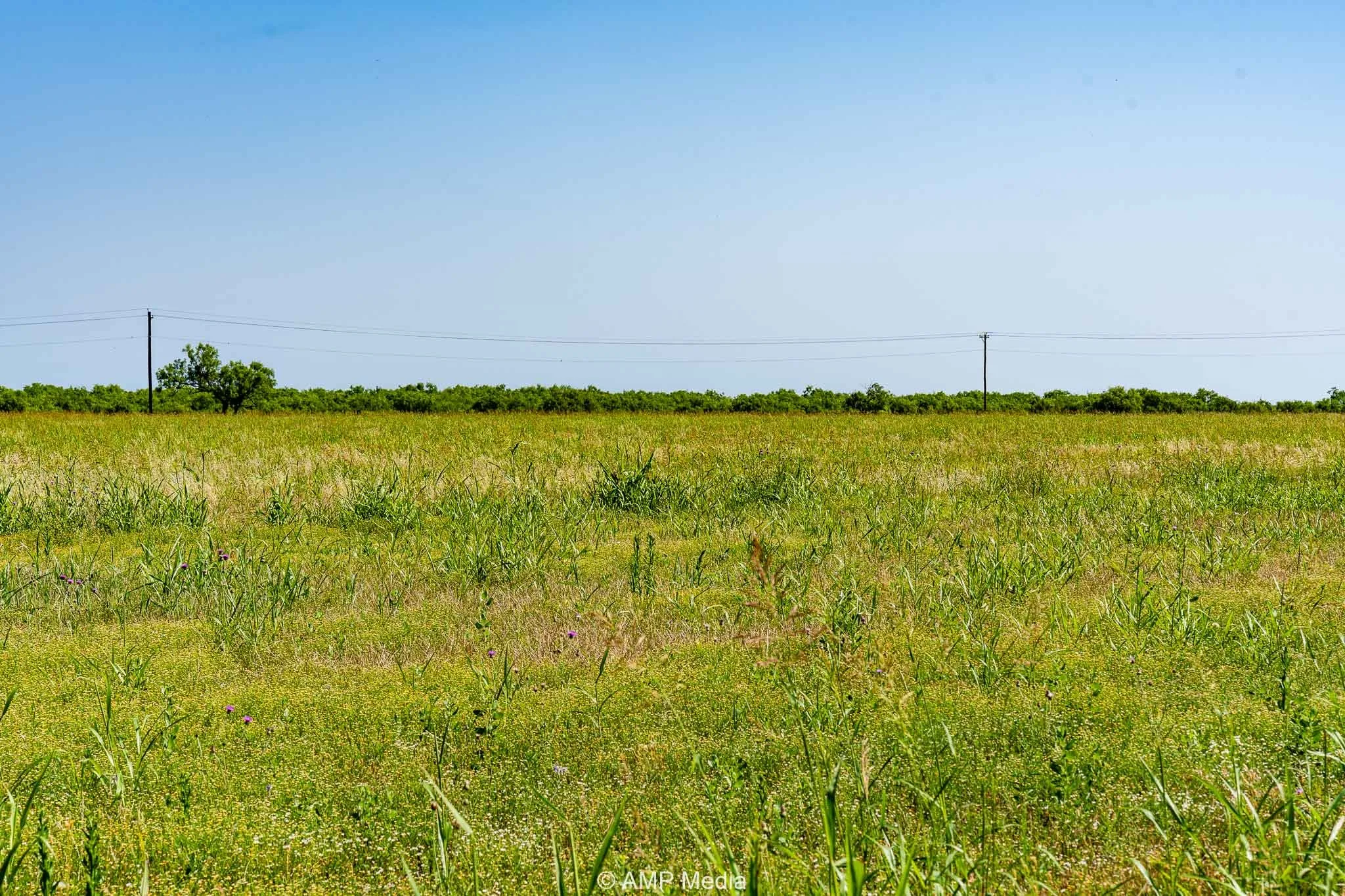 Unimproved Land For Sale in Fisher County , FM 2142 FM 2142, Rotan, Texas 79546, 0, 0, Garage spaces, 0 Sqft, built in 0, Price $126,157, mls#20956864, Real Estate Agent in Rotan, Homes For Sale in Fisher county, Homes For Sale in Rotan, Realtor in Rotan Texas, Real Estate Brokerage Independent Realty Texas, Luminita Cordes Realtor