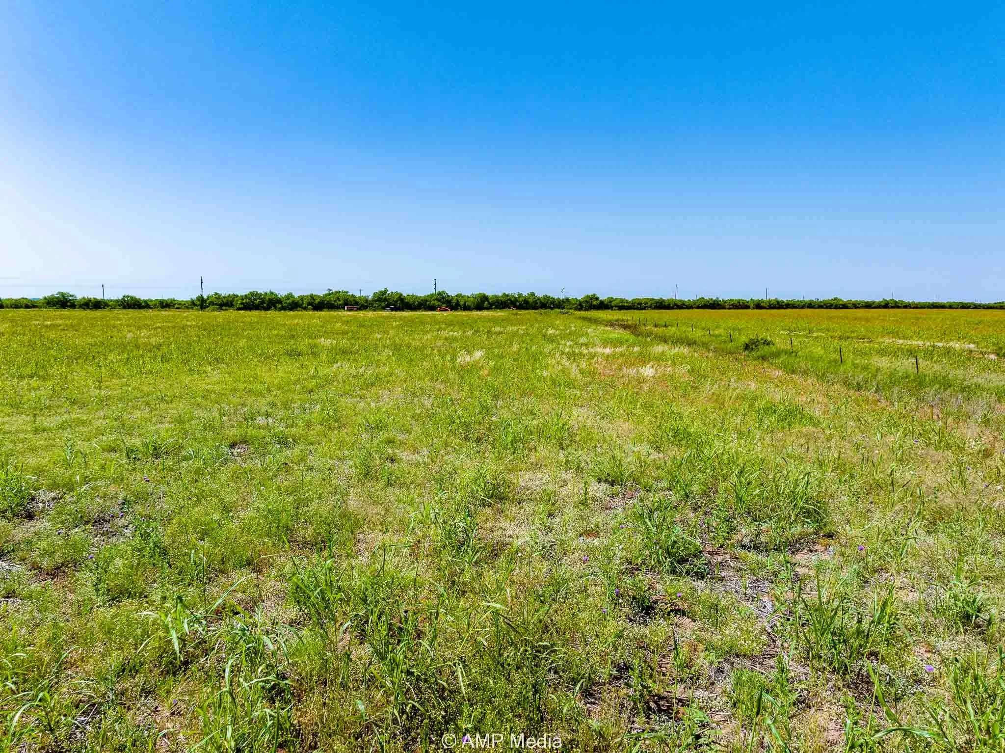Unimproved Land For Sale in Fisher County , FM 2142 FM 2142, Rotan, Texas 79546, 0, 0, Garage spaces, 0 Sqft, built in 0, Price $126,157, mls#20956864, Real Estate Agent in Rotan, Homes For Sale in Fisher county, Homes For Sale in Rotan, Realtor in Rotan Texas, Real Estate Brokerage Independent Realty Texas, Luminita Cordes Realtor