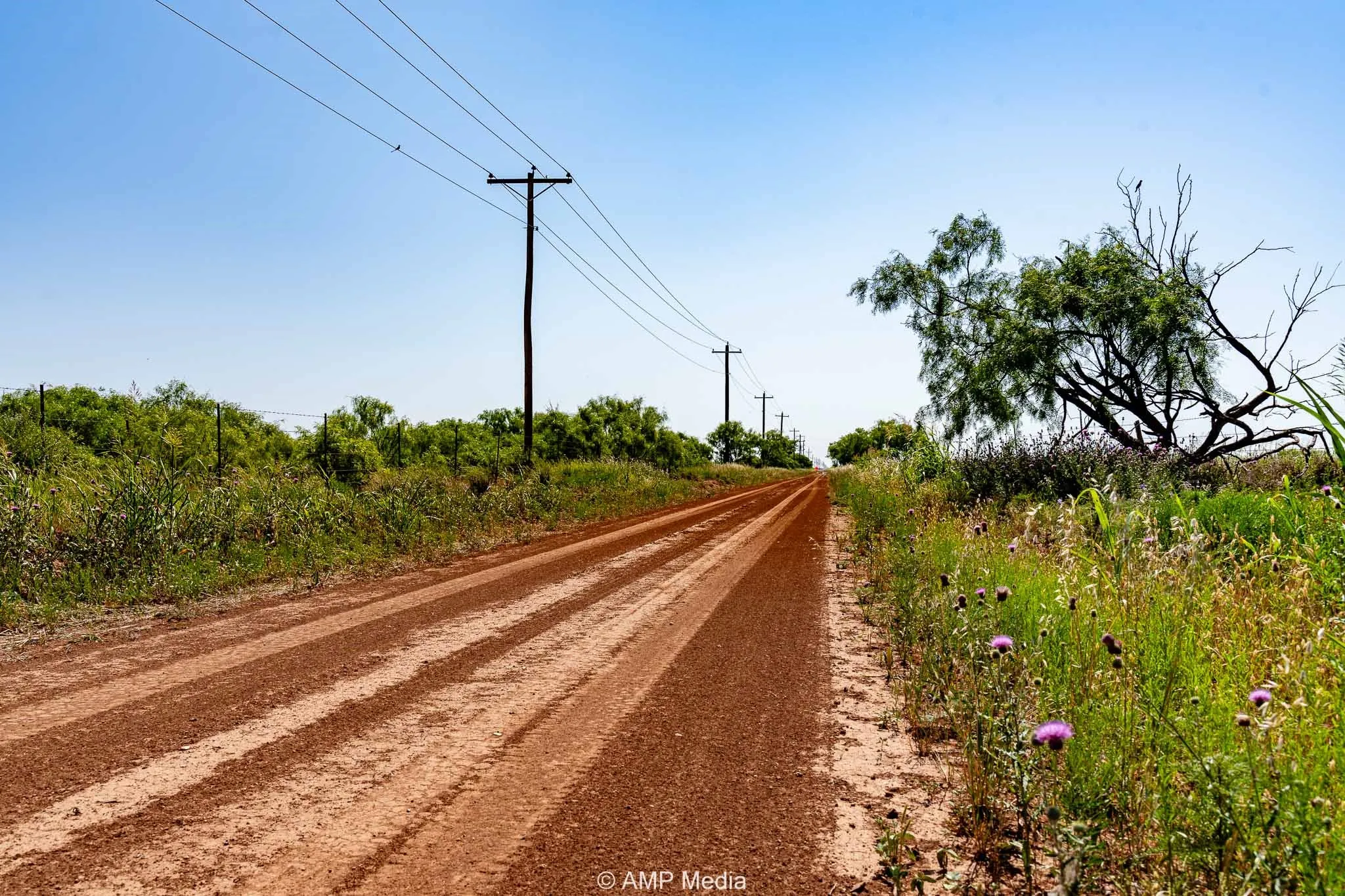 Unimproved Land For Sale in Fisher County , FM 2142 FM 2142, Rotan, Texas 79546, 0, 0, Garage spaces, 0 Sqft, built in 0, Price $126,157, mls#20956864, Real Estate Agent in Rotan, Homes For Sale in Fisher county, Homes For Sale in Rotan, Realtor in Rotan Texas, Real Estate Brokerage Independent Realty Texas, Luminita Cordes Realtor