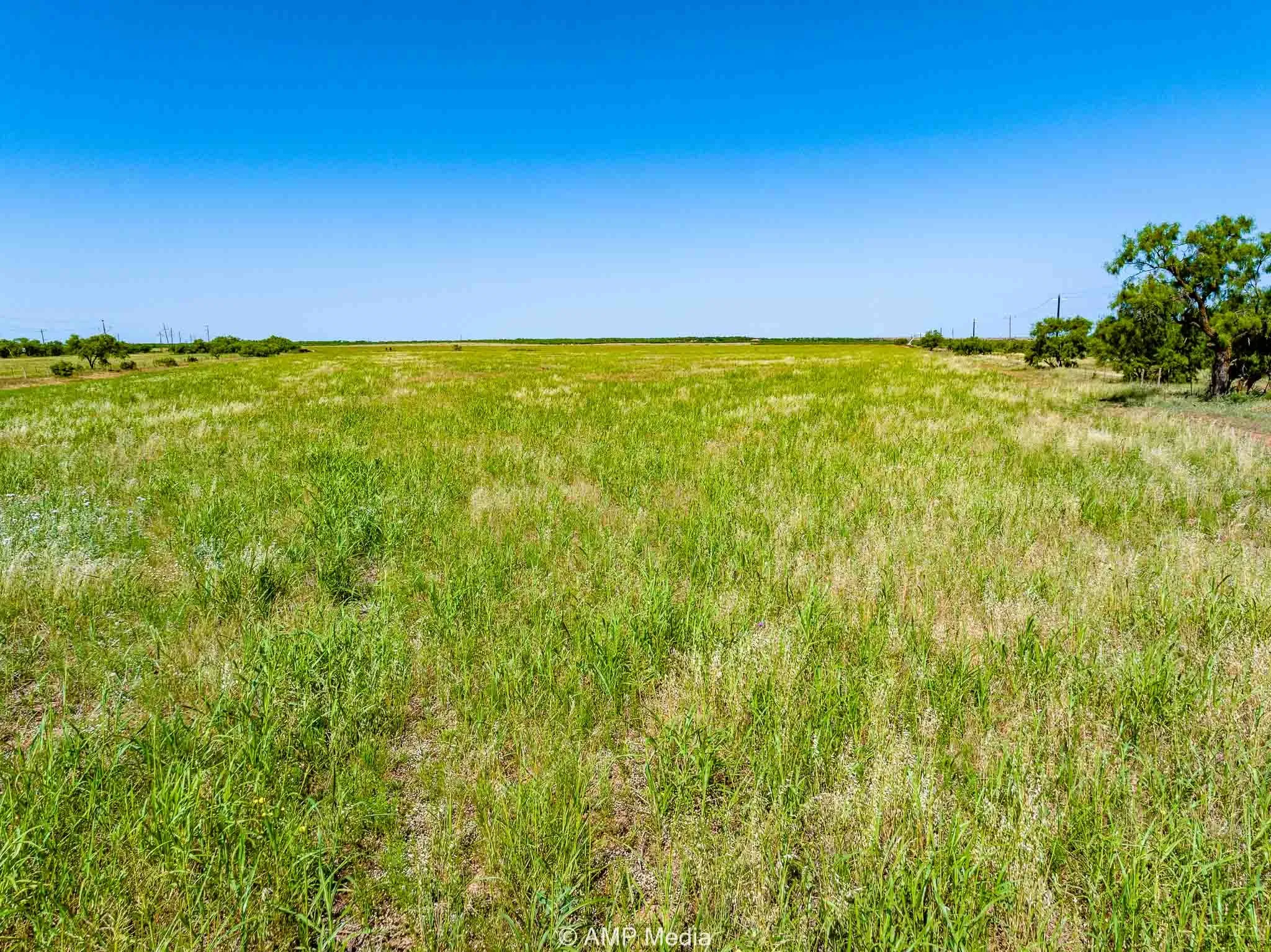 Unimproved Land For Sale in Fisher County , FM 2142 FM 2142, Rotan, Texas 79546, 0, 0, Garage spaces, 0 Sqft, built in 0, Price $126,157, mls#20956864, Real Estate Agent in Rotan, Homes For Sale in Fisher county, Homes For Sale in Rotan, Realtor in Rotan Texas, Real Estate Brokerage Independent Realty Texas, Luminita Cordes Realtor