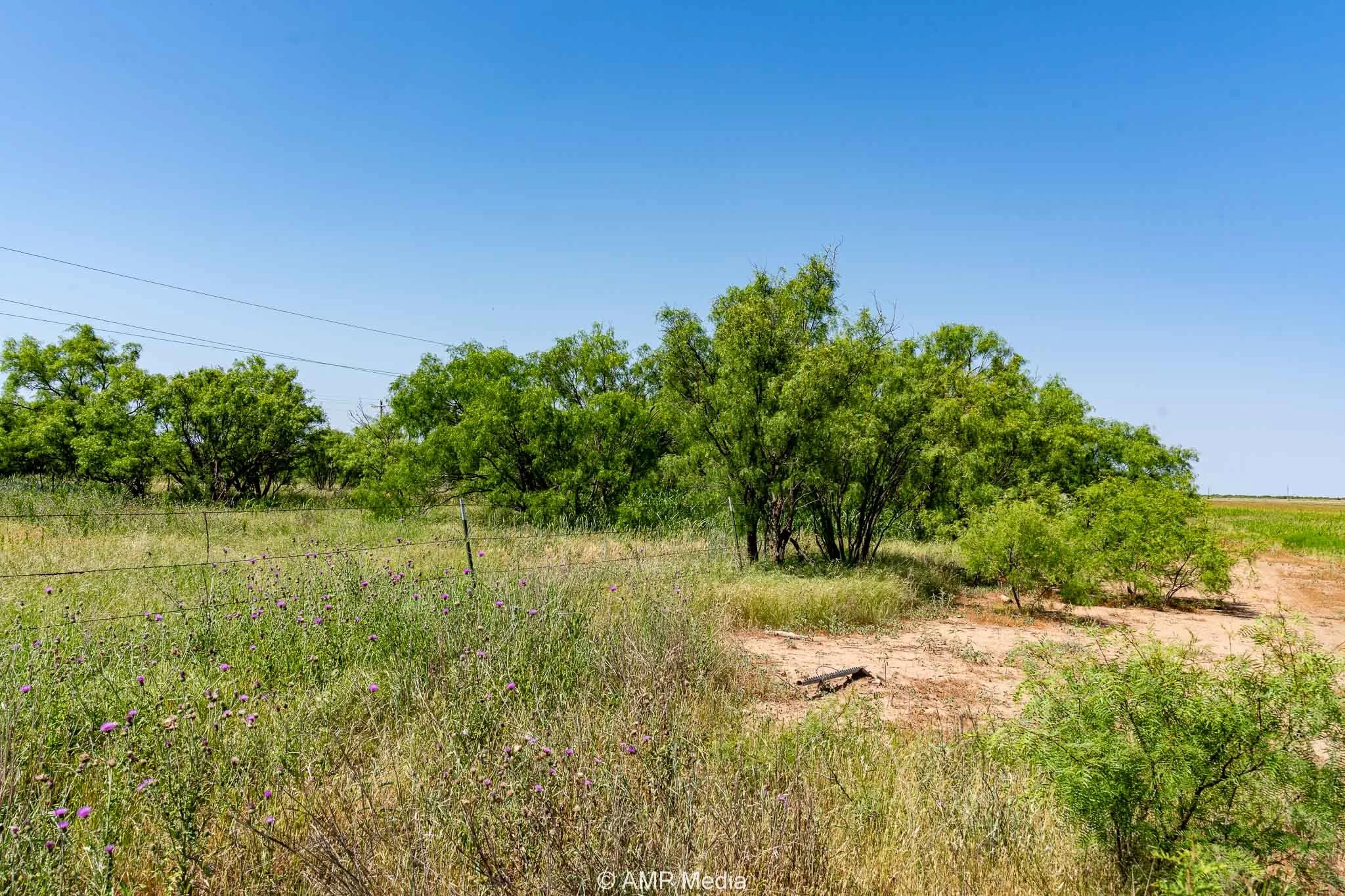 Unimproved Land For Sale in Fisher County , FM 2142 FM 2142, Rotan, Texas 79546, 0, 0, Garage spaces, 0 Sqft, built in 0, Price $126,157, mls#20956864, Real Estate Agent in Rotan, Homes For Sale in Fisher county, Homes For Sale in Rotan, Realtor in Rotan Texas, Real Estate Brokerage Independent Realty Texas, Luminita Cordes Realtor