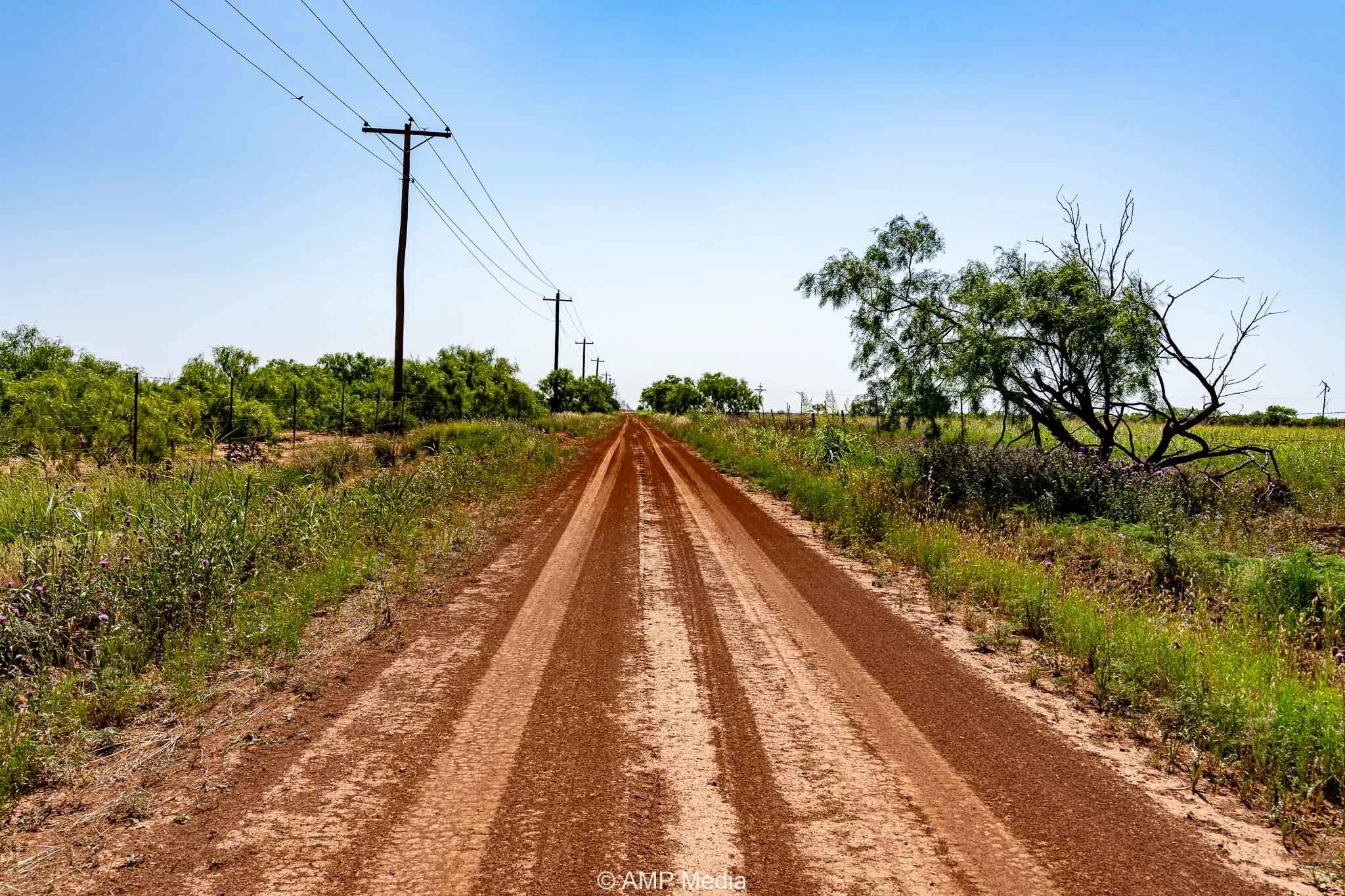 Unimproved Land For Sale in Fisher County , FM 2142 FM 2142, Rotan, Texas 79546, 0, 0, Garage spaces, 0 Sqft, built in 0, Price $126,157, mls#20956864, Real Estate Agent in Rotan, Homes For Sale in Fisher county, Homes For Sale in Rotan, Realtor in Rotan Texas, Real Estate Brokerage Independent Realty Texas, Luminita Cordes Realtor