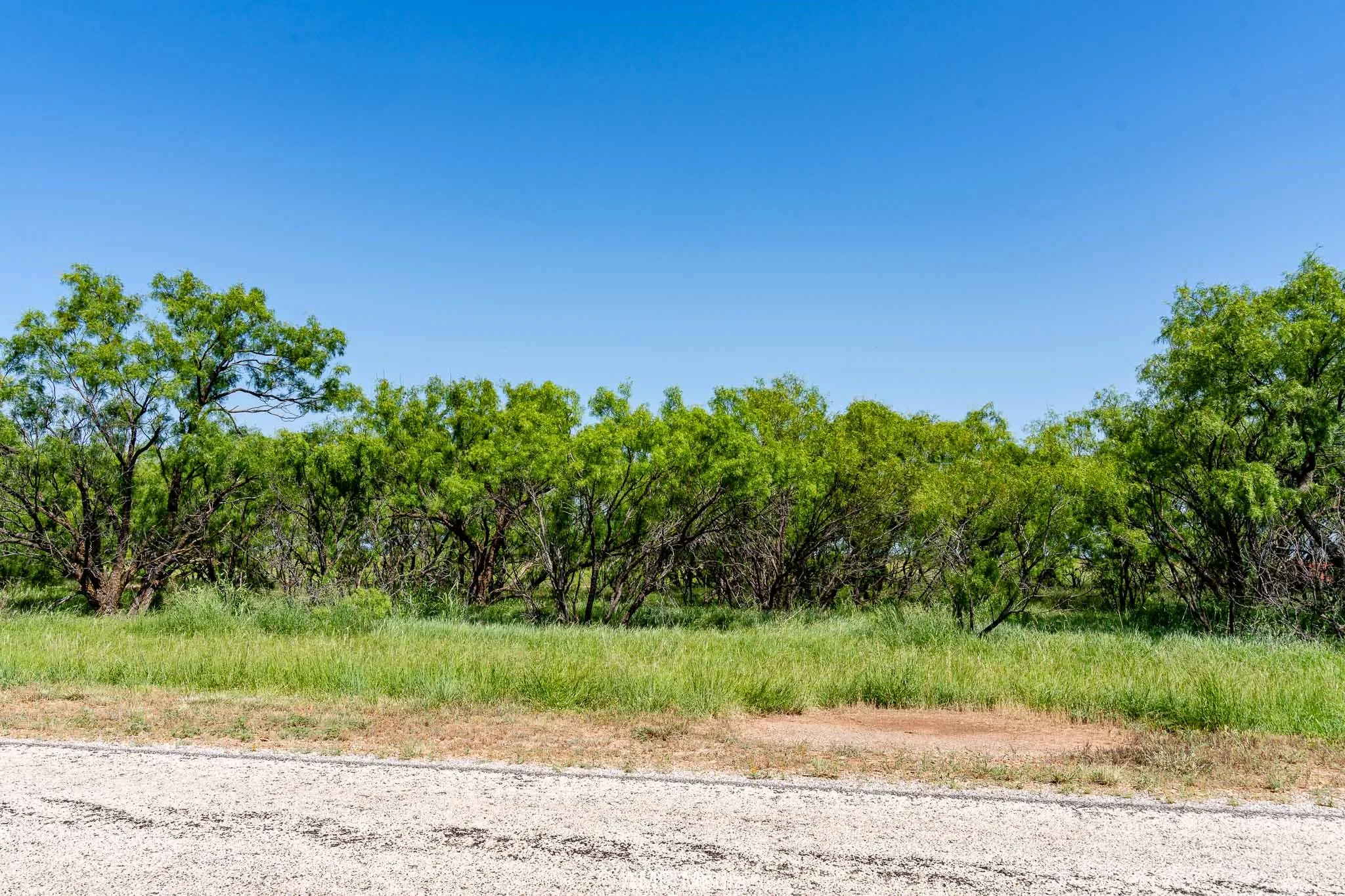 Unimproved Land For Sale in Fisher County , FM 2142 FM 2142, Rotan, Texas 79546, 0, 0, Garage spaces, 0 Sqft, built in 0, Price $126,157, mls#20956864, Real Estate Agent in Rotan, Homes For Sale in Fisher county, Homes For Sale in Rotan, Realtor in Rotan Texas, Real Estate Brokerage Independent Realty Texas, Luminita Cordes Realtor