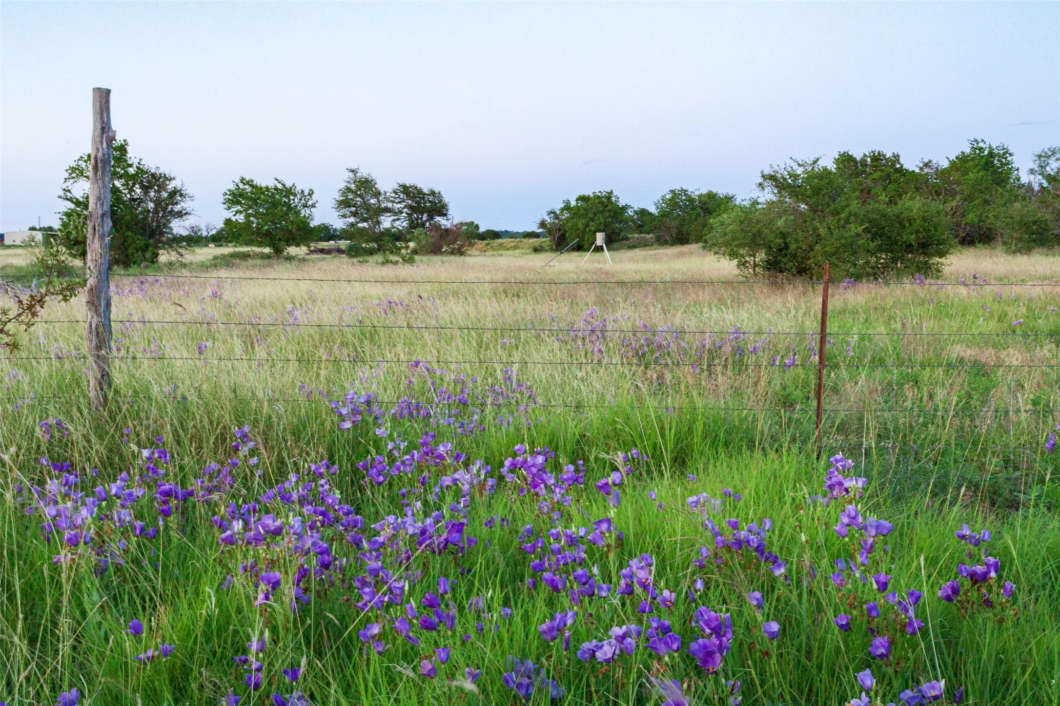 View of yard featuring a view of rural / pastoral area