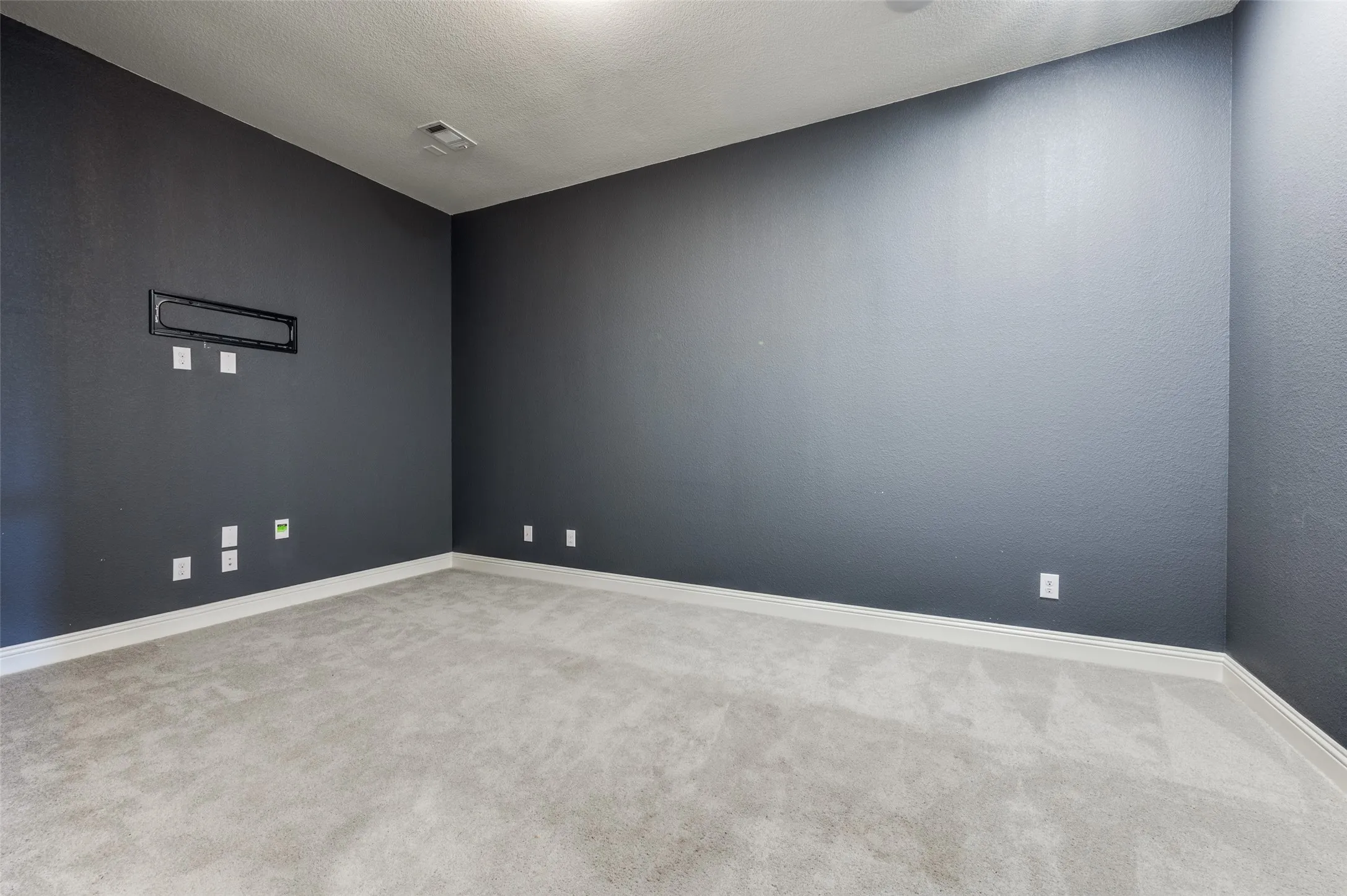 Entertainment Room