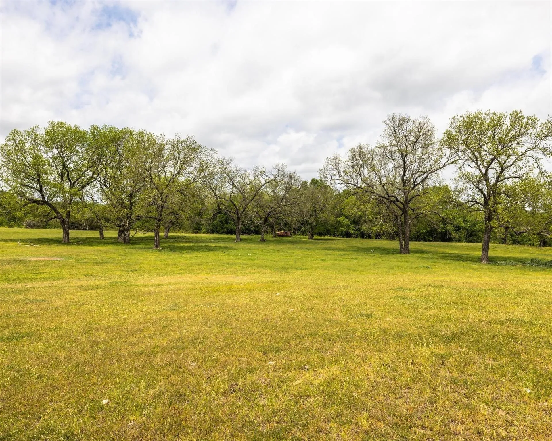 Unimproved Land For Sale in Erath County , TBD County Road 160, Bluff Dale, Texas 76433, 0, 0, Garage spaces, 0 Sqft, built in 0, mls#20988099, Real Estate Agent in Bluff Dale, Homes For Sale in Erath county, Homes For Sale in Bluff Dale, Realtor in Bluff Dale Texas, Real Estate Brokerage Independent Realty Texas, Luminita Cordes Realtor