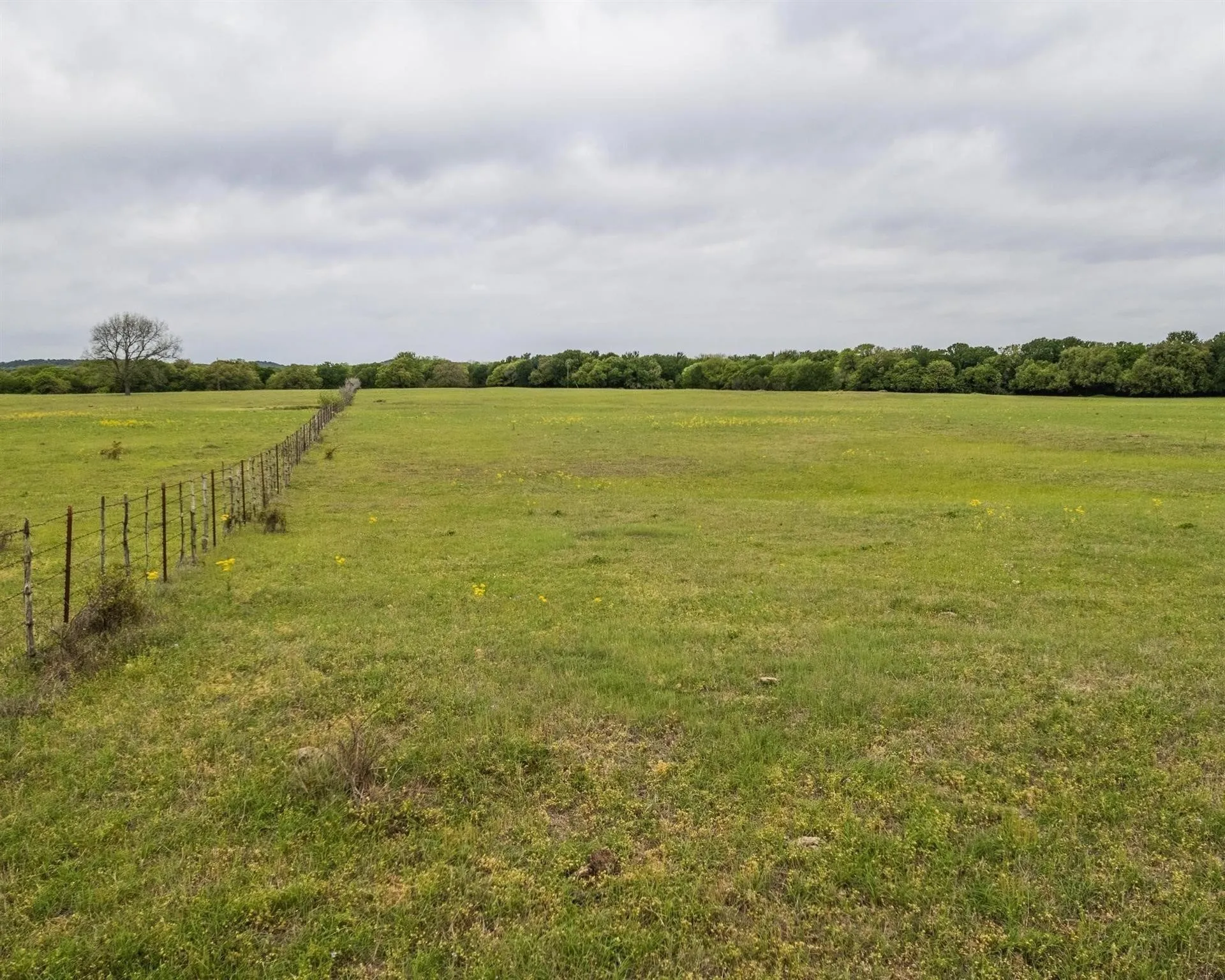 Unimproved Land For Sale in Erath County , TBD County Road 160, Bluff Dale, Texas 76433, 0, 0, Garage spaces, 0 Sqft, built in 0, mls#20988099, Real Estate Agent in Bluff Dale, Homes For Sale in Erath county, Homes For Sale in Bluff Dale, Realtor in Bluff Dale Texas, Real Estate Brokerage Independent Realty Texas, Luminita Cordes Realtor