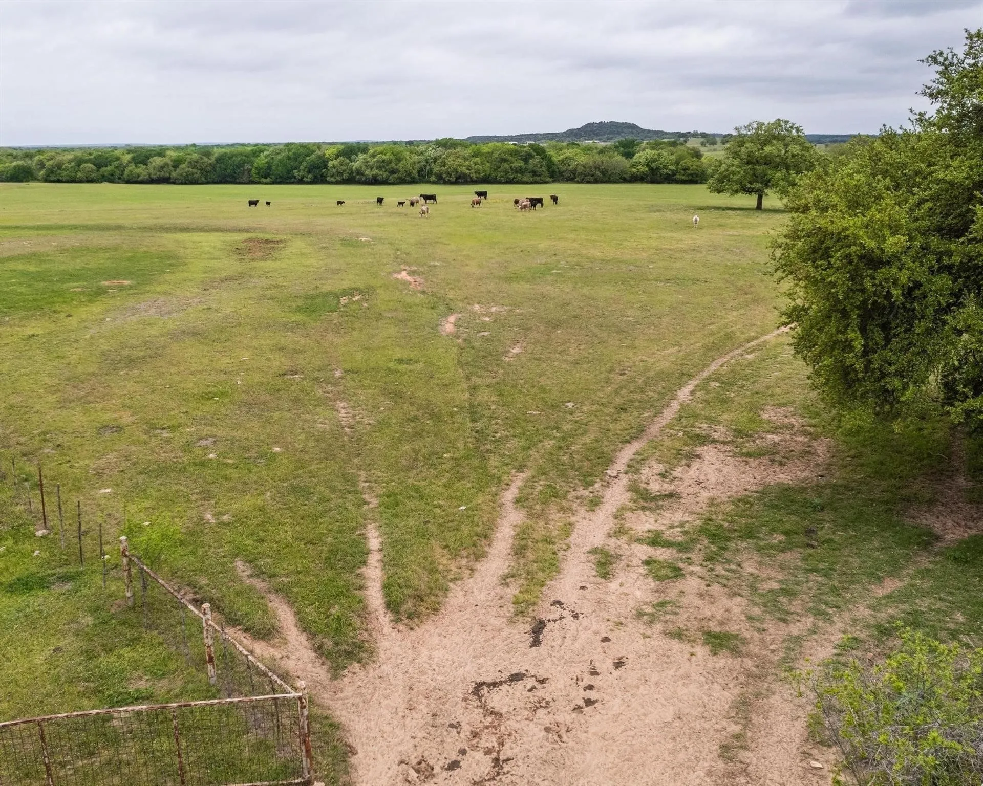 Unimproved Land For Sale in Erath County , TBD County Road 160, Bluff Dale, Texas 76433, 0, 0, Garage spaces, 0 Sqft, built in 0, mls#20988099, Real Estate Agent in Bluff Dale, Homes For Sale in Erath county, Homes For Sale in Bluff Dale, Realtor in Bluff Dale Texas, Real Estate Brokerage Independent Realty Texas, Luminita Cordes Realtor