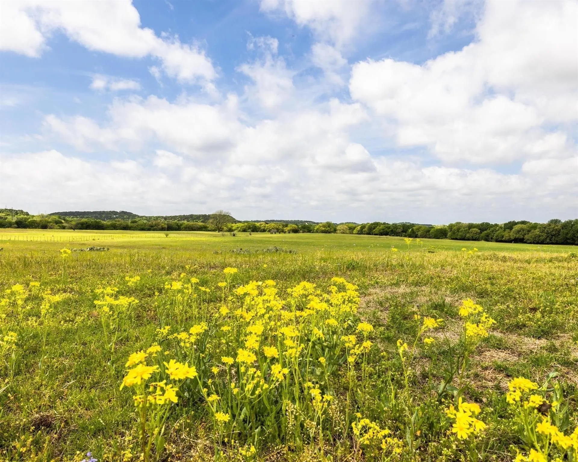 Unimproved Land For Sale in Erath County , TBD County Road 160, Bluff Dale, Texas 76433, 0, 0, Garage spaces, 0 Sqft, built in 0, mls#20988099, Real Estate Agent in Bluff Dale, Homes For Sale in Erath county, Homes For Sale in Bluff Dale, Realtor in Bluff Dale Texas, Real Estate Brokerage Independent Realty Texas, Luminita Cordes Realtor