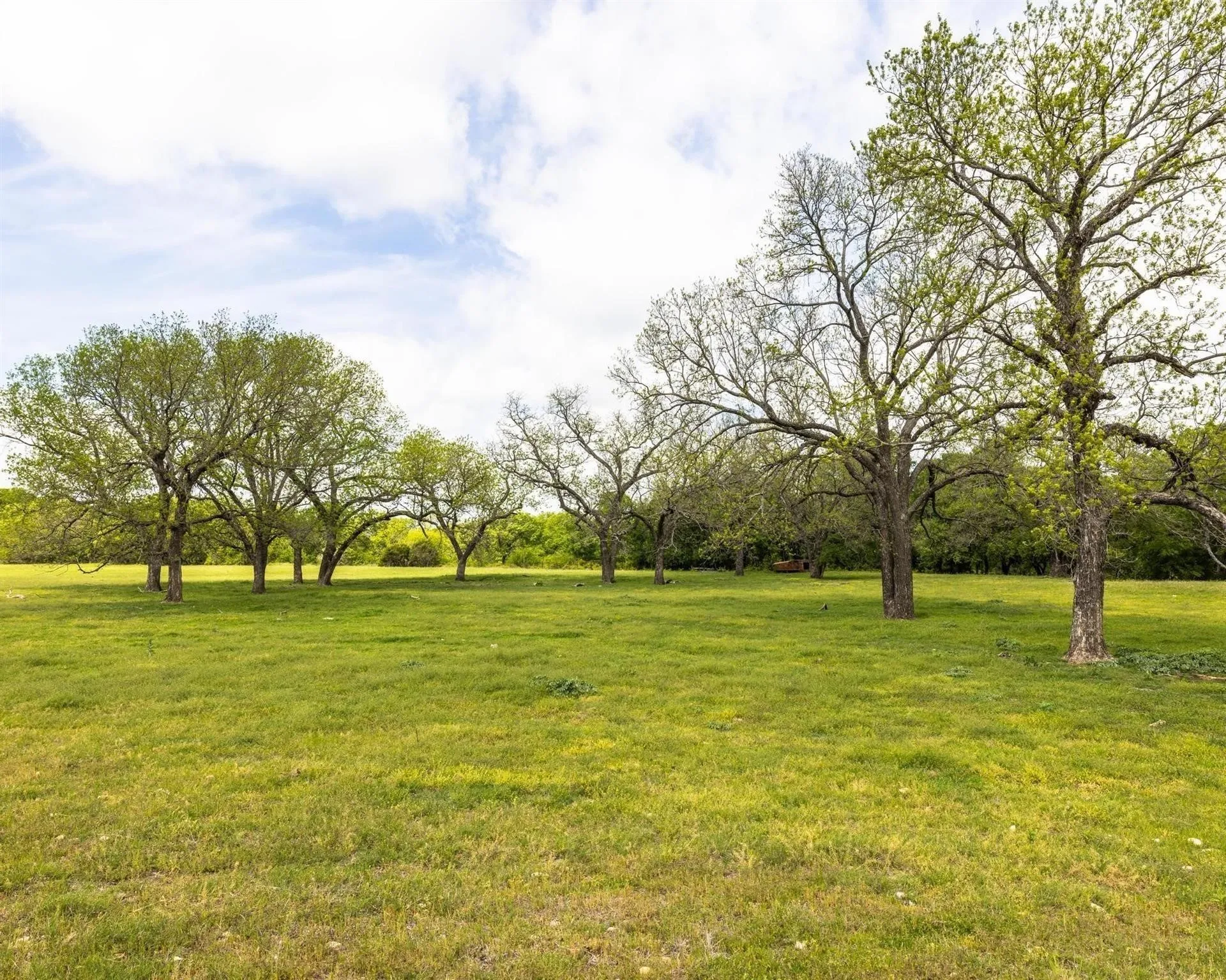 Unimproved Land For Sale in Erath County , TBD County Road 160, Bluff Dale, Texas 76433, 0, 0, Garage spaces, 0 Sqft, built in 0, mls#20988099, Real Estate Agent in Bluff Dale, Homes For Sale in Erath county, Homes For Sale in Bluff Dale, Realtor in Bluff Dale Texas, Real Estate Brokerage Independent Realty Texas, Luminita Cordes Realtor