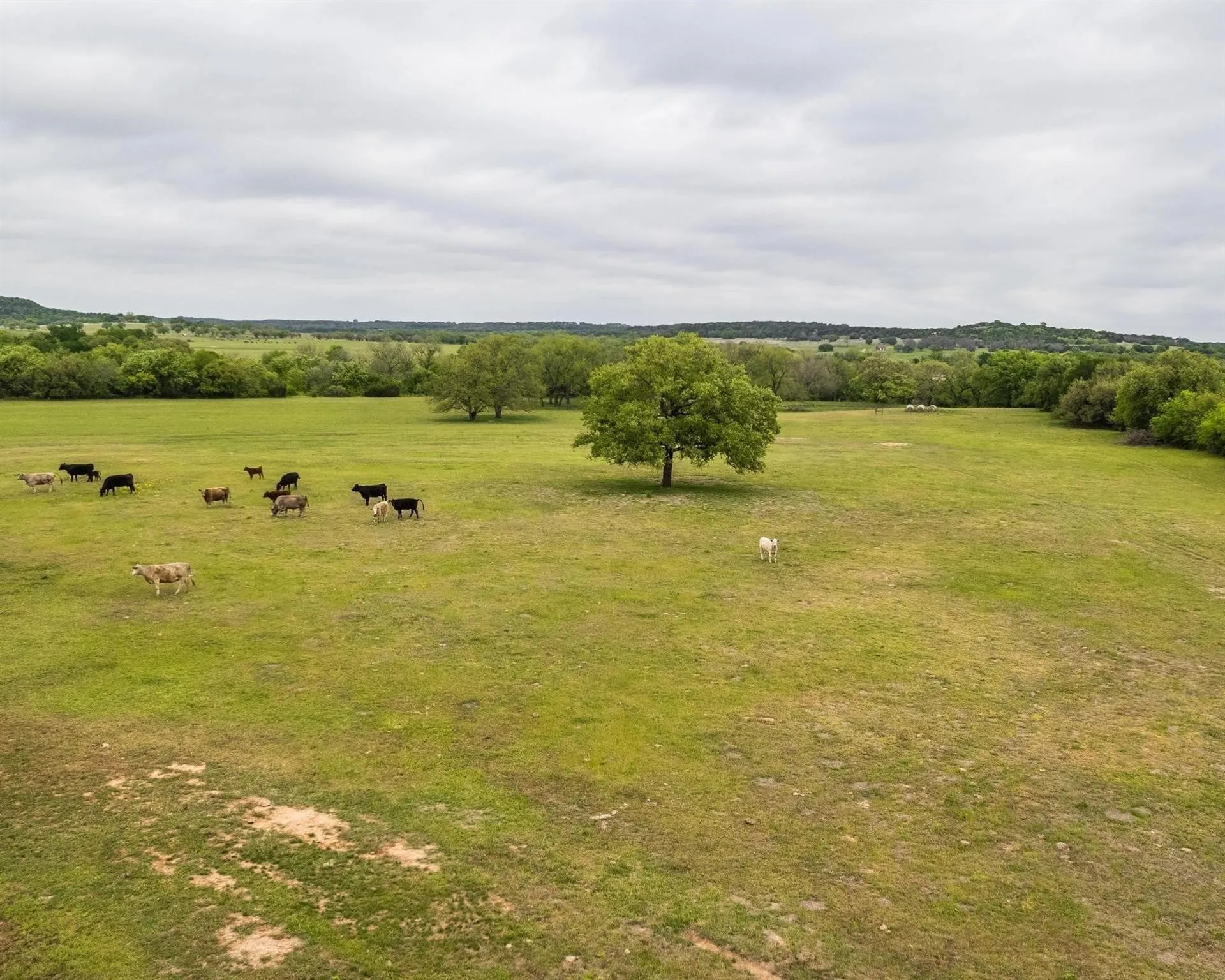 Unimproved Land For Sale in Erath County , TBD County Road 160, Bluff Dale, Texas 76433, 0, 0, Garage spaces, 0 Sqft, built in 0, mls#20988099, Real Estate Agent in Bluff Dale, Homes For Sale in Erath county, Homes For Sale in Bluff Dale, Realtor in Bluff Dale Texas, Real Estate Brokerage Independent Realty Texas, Luminita Cordes Realtor