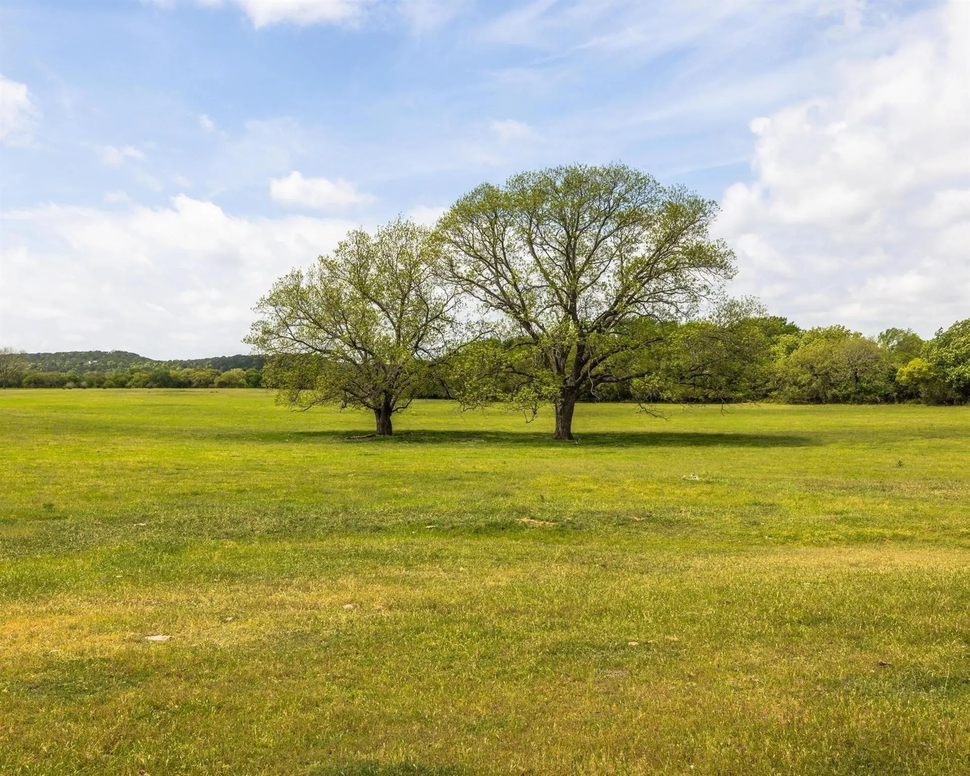 Unimproved Land For Sale in Erath County , TBD County Road 160, Bluff Dale, Texas 76433, 0, 0, Garage spaces, 0 Sqft, built in 0, mls#20988099, Real Estate Agent in Bluff Dale, Homes For Sale in Erath county, Homes For Sale in Bluff Dale, Realtor in Bluff Dale Texas, Real Estate Brokerage Independent Realty Texas, Luminita Cordes Realtor