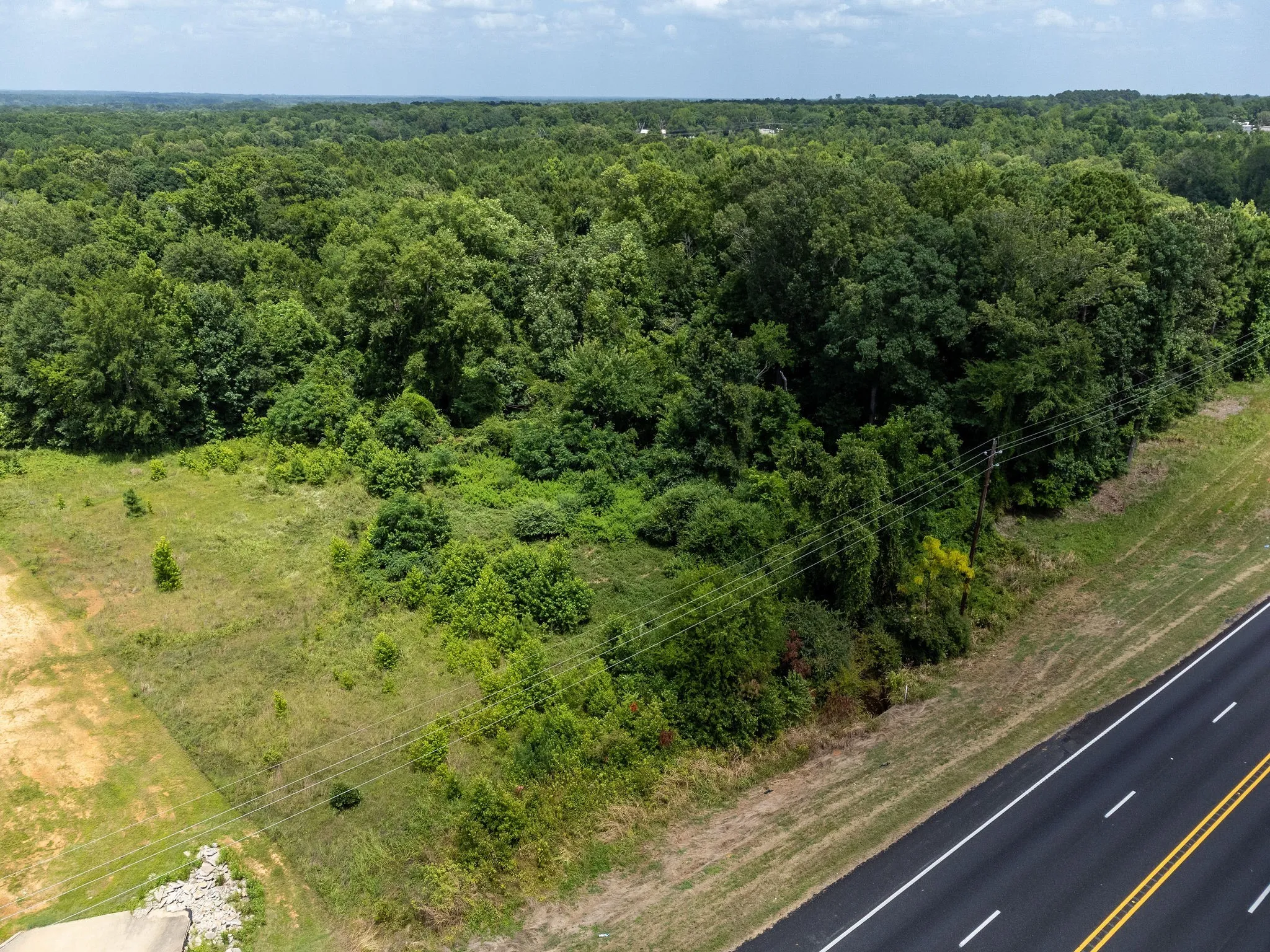 Drone / aerial view of a forest