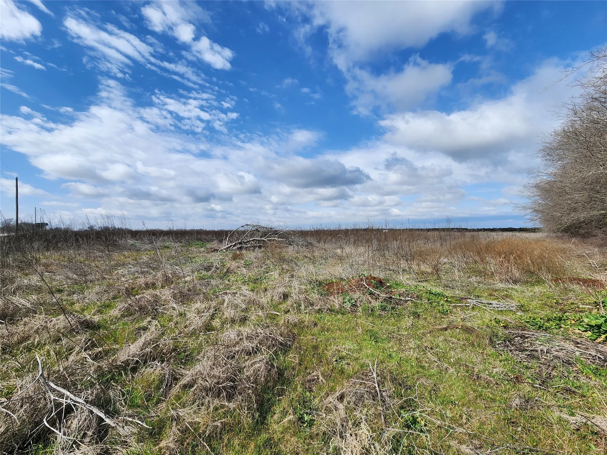 Unimproved Land For Sale in Hill County , TBA Private Road 196, Blum, Texas 76627, 0, 0, Garage spaces, 0 Sqft, built in 0, mls#20988144, Real Estate Agent in Blum, Homes For Sale in Hill county, Homes For Sale in Blum, Realtor in Blum Texas, Real Estate Brokerage Independent Realty Texas, Luminita Cordes Realtor