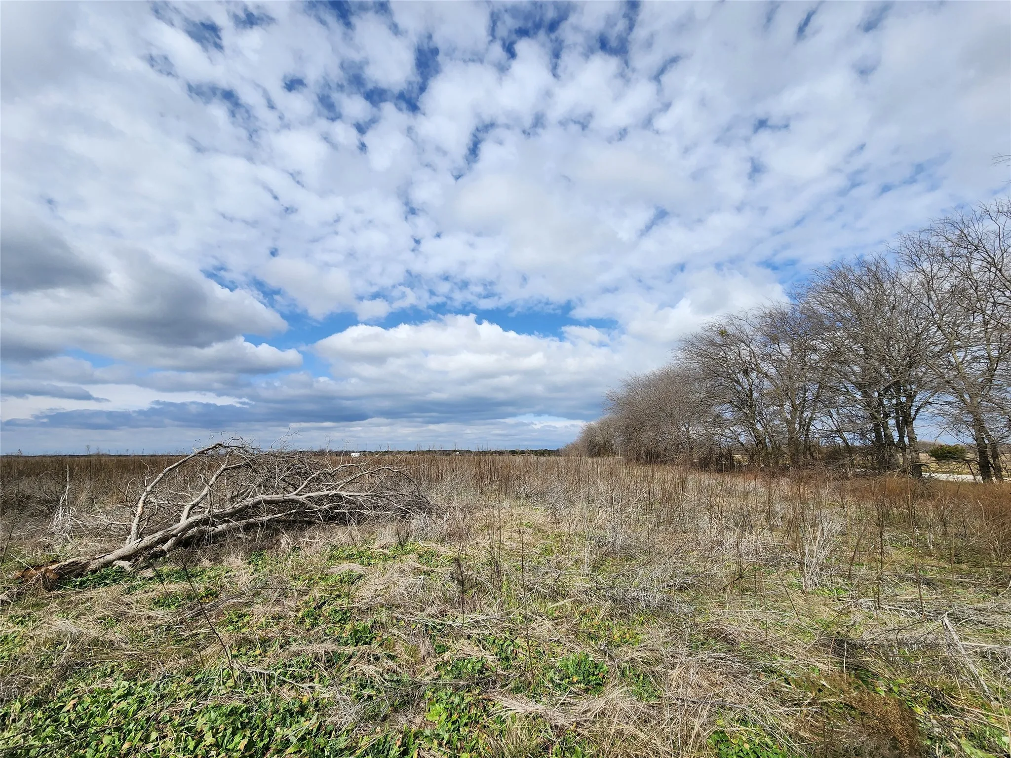 Unimproved Land For Sale in Hill County , TBA Private Road 196, Blum, Texas 76627, 0, 0, Garage spaces, 0 Sqft, built in 0, mls#20988144, Real Estate Agent in Blum, Homes For Sale in Hill county, Homes For Sale in Blum, Realtor in Blum Texas, Real Estate Brokerage Independent Realty Texas, Luminita Cordes Realtor