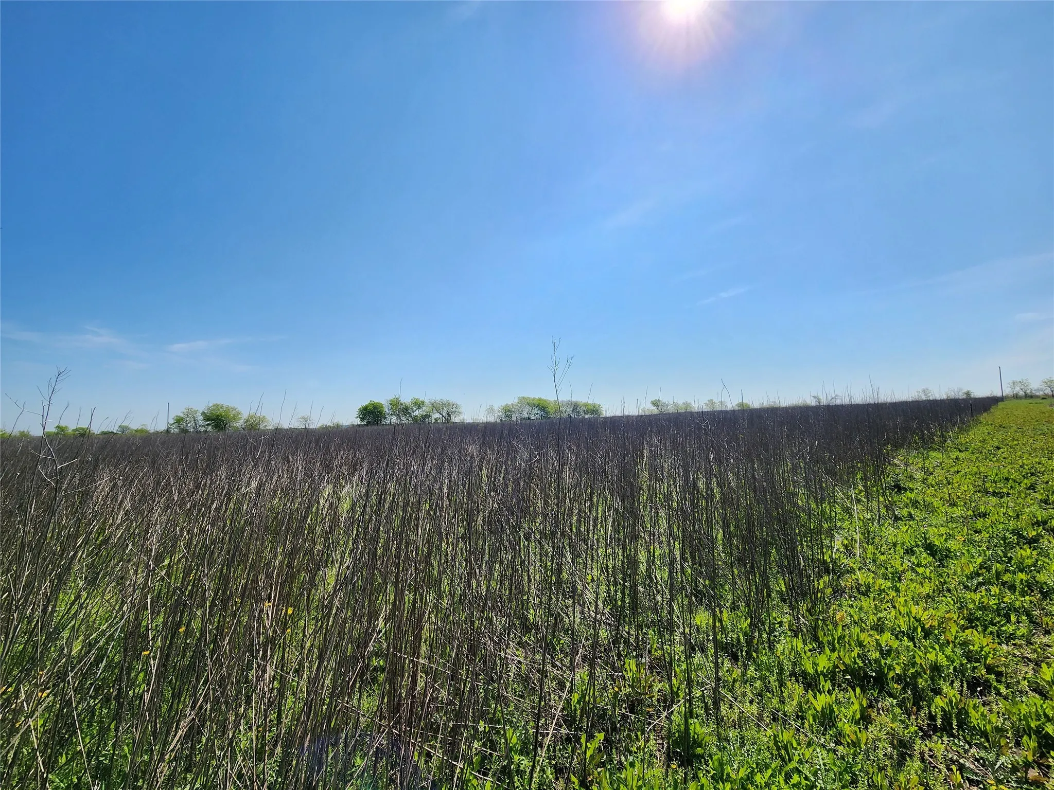 Unimproved Land For Sale in Hill County , TBA Private Road 196, Blum, Texas 76627, 0, 0, Garage spaces, 0 Sqft, built in 0, mls#20988144, Real Estate Agent in Blum, Homes For Sale in Hill county, Homes For Sale in Blum, Realtor in Blum Texas, Real Estate Brokerage Independent Realty Texas, Luminita Cordes Realtor