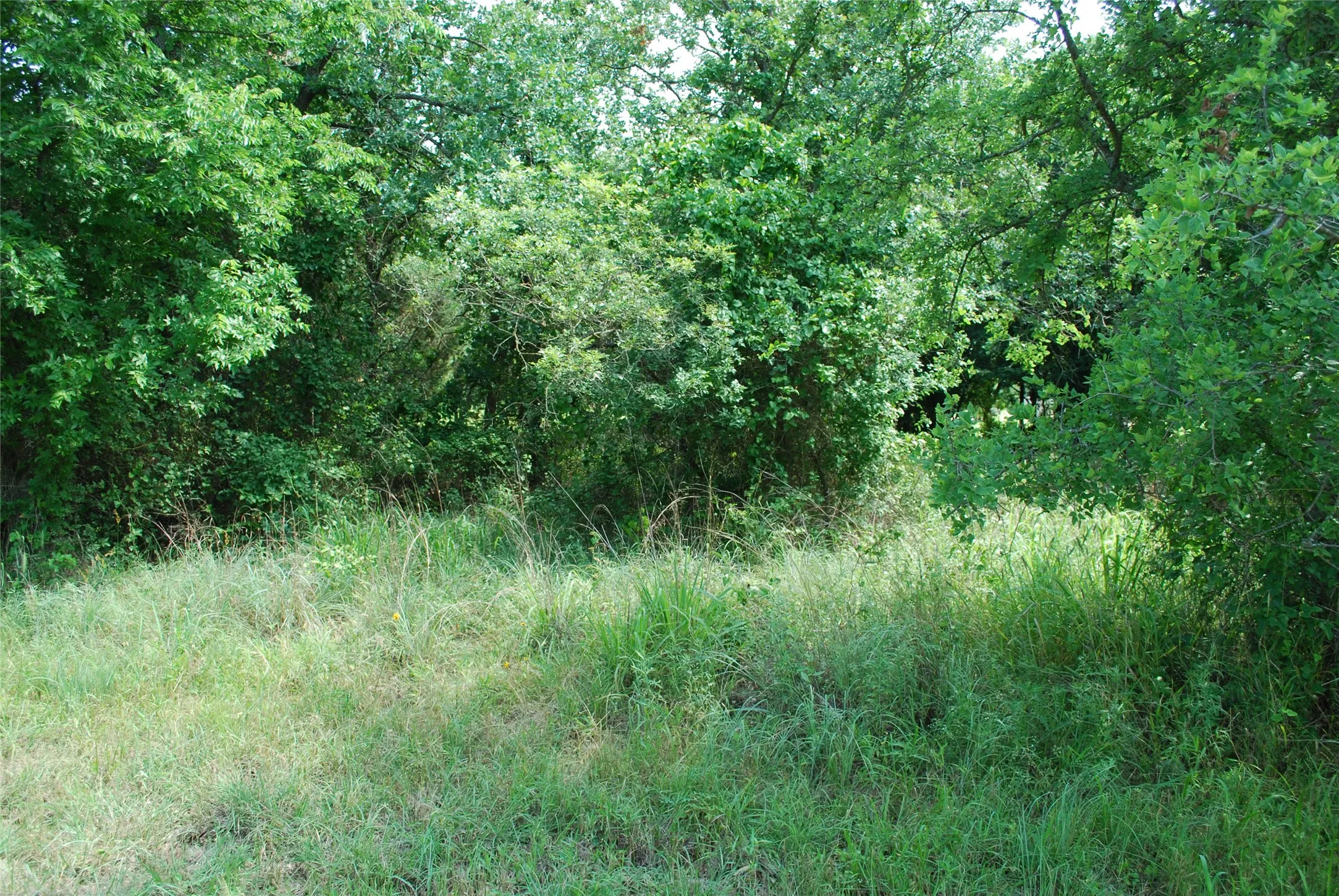 Unimproved Land For Sale in Hill County , 27183 Whispering Meadow Drive, Whitney, Texas 76692, 0, 0, Garage spaces, 0 Sqft, built in 0, Price $13,200, mls#20987121, Real Estate Agent in Whitney, Homes For Sale in Hill county, Homes For Sale in Whitney, Realtor in Whitney Texas, Real Estate Brokerage Independent Realty Texas, Luminita Cordes Realtor