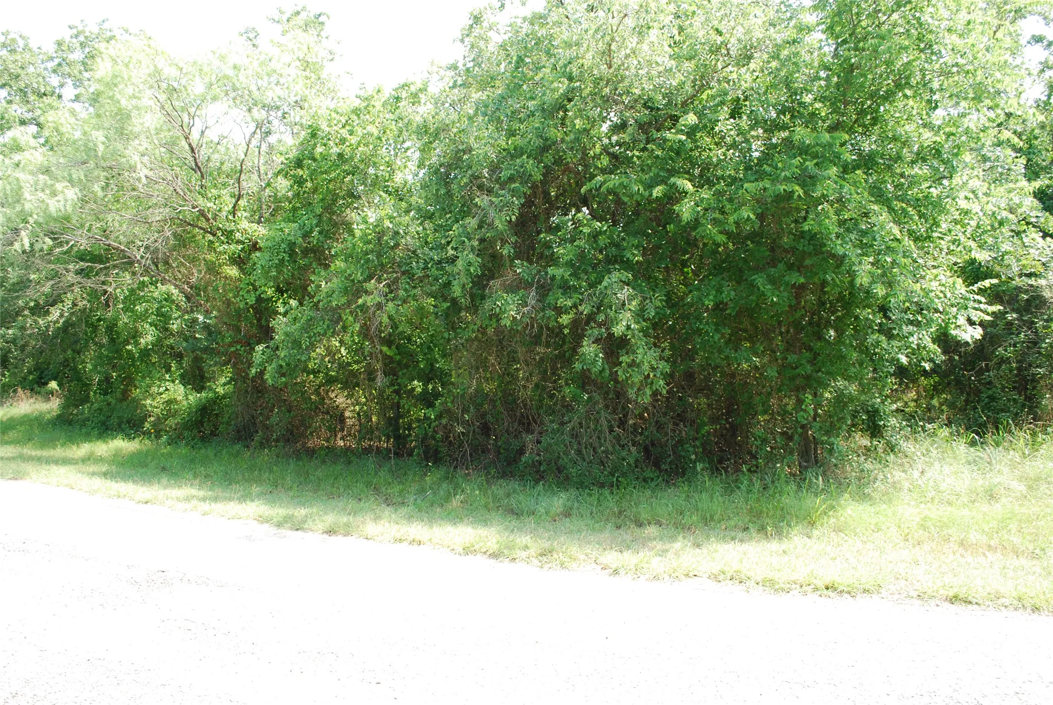 Unimproved Land For Sale in Hill County , 27183 Whispering Meadow Drive, Whitney, Texas 76692, 0, 0, Garage spaces, 0 Sqft, built in 0, Price $13,200, mls#20987121, Real Estate Agent in Whitney, Homes For Sale in Hill county, Homes For Sale in Whitney, Realtor in Whitney Texas, Real Estate Brokerage Independent Realty Texas, Luminita Cordes Realtor